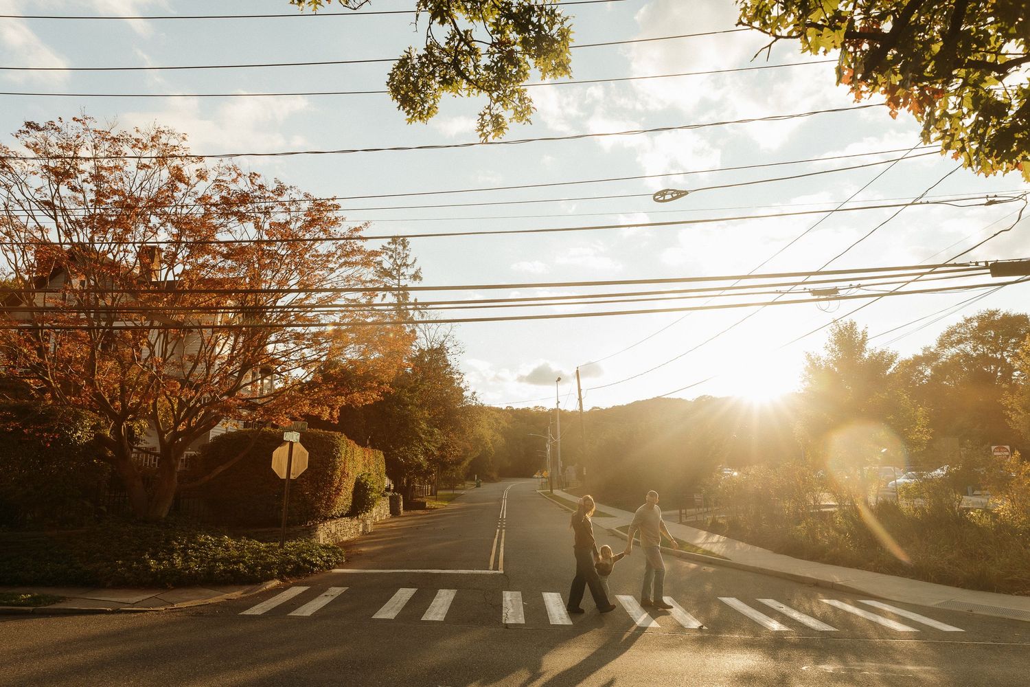 Sunset street scene with power lines and autumn trees creating silhouettes.