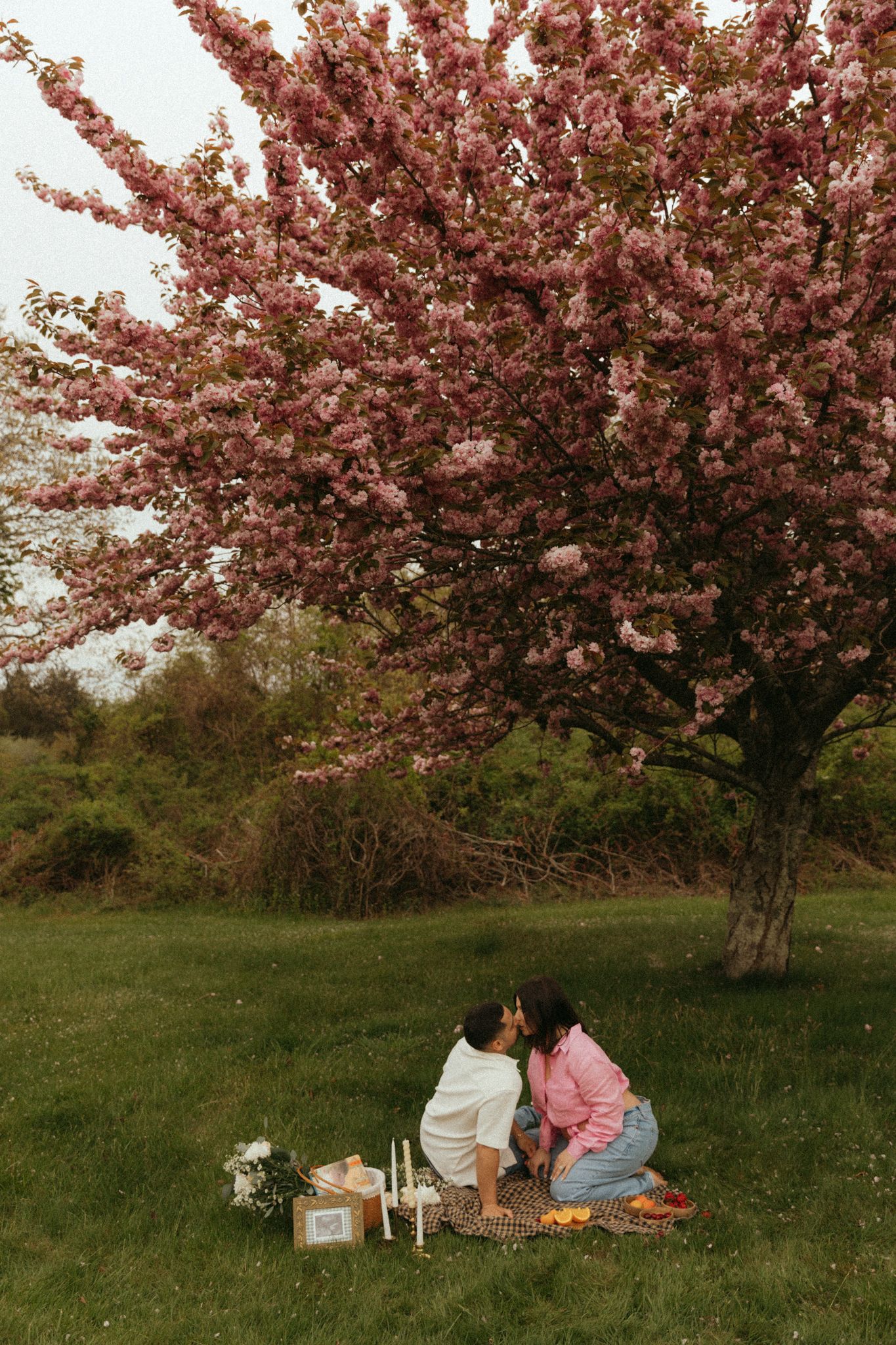 A romantic picnic setup under blooming cherry blossom trees with a blanket and basket on green grass.