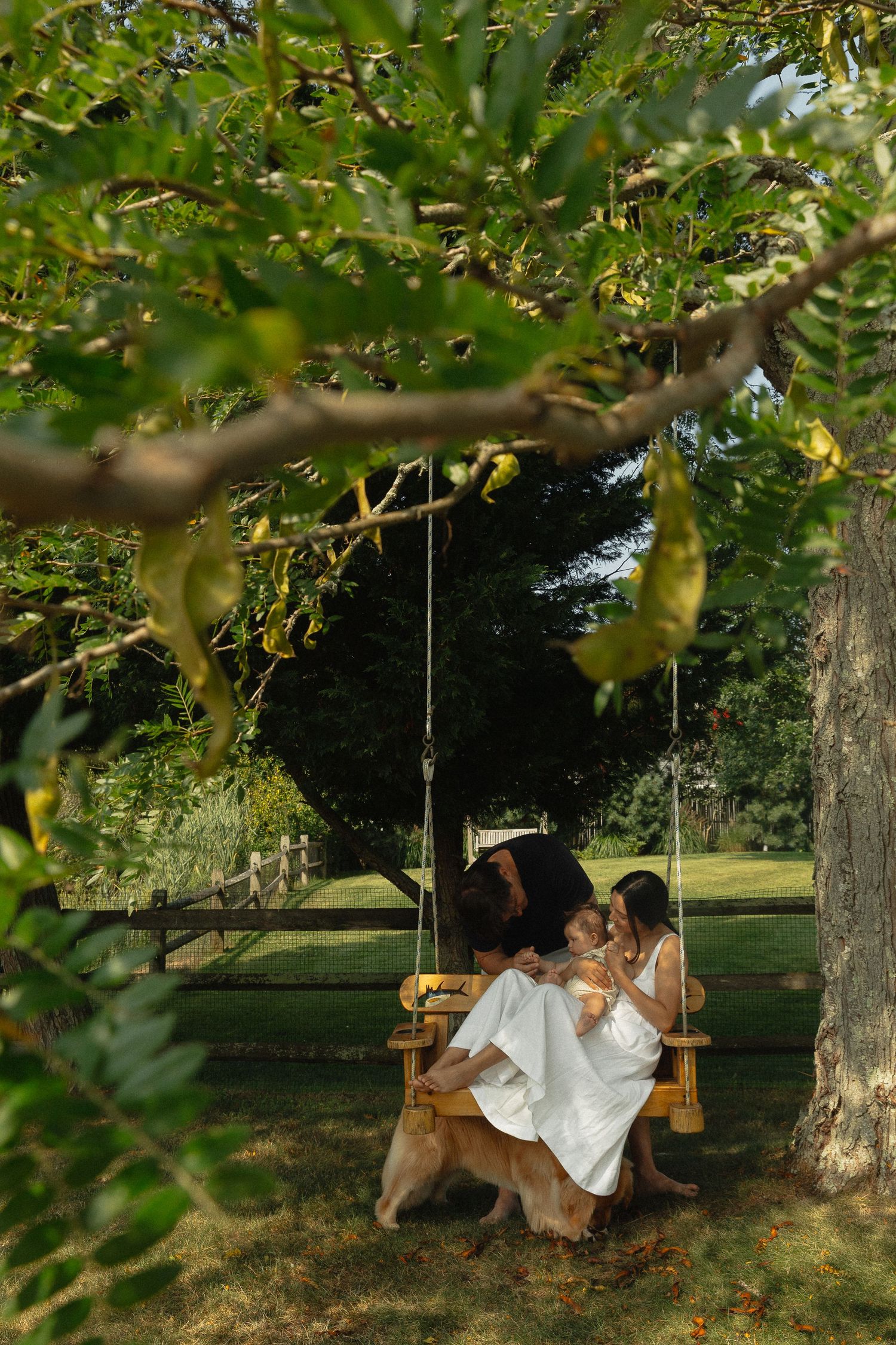 A family sits together on a wooden swing under a lush green tree in a serene garden setting.