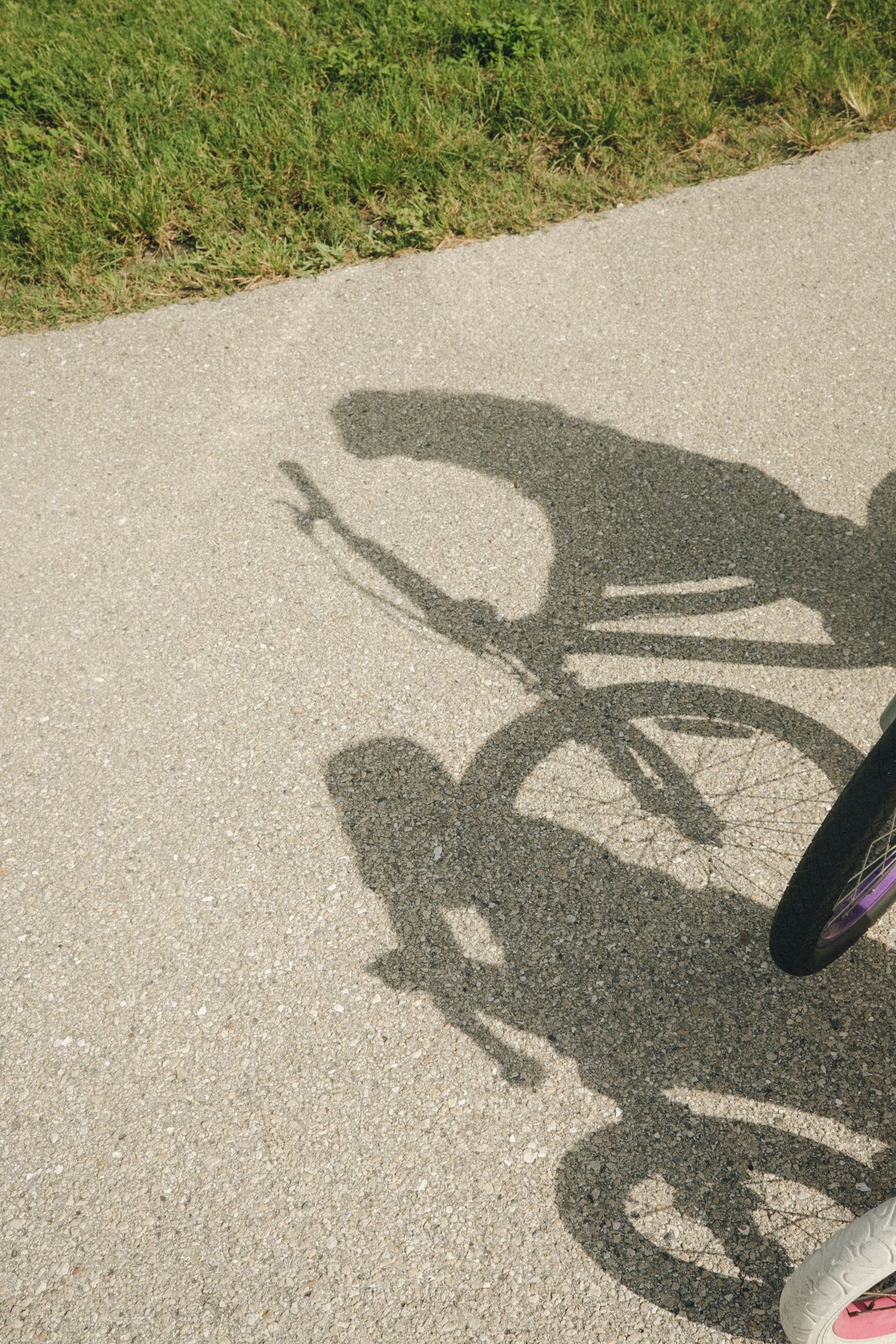 Shadow of a cyclist and bicycle cast on a gray asphalt path beside green grass on a sunny day.