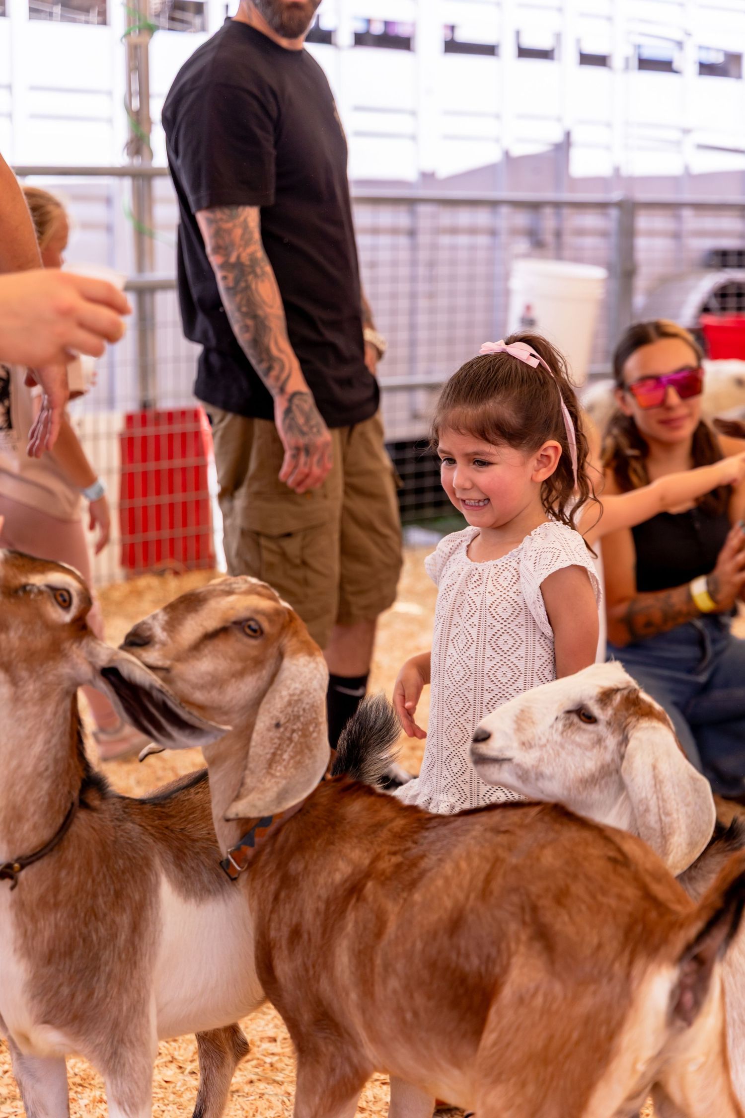 Young girl smiling while petting goats at a petting zoo, with adults watching in the background.