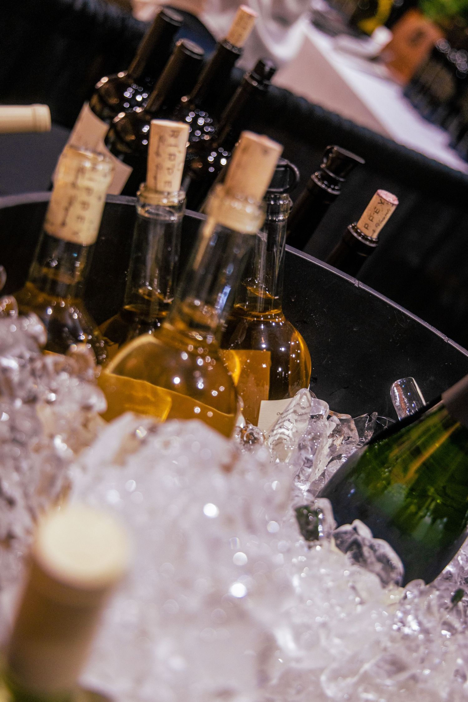 White wine bottles chilling on ice in a bucket at an elegant wine tasting event.