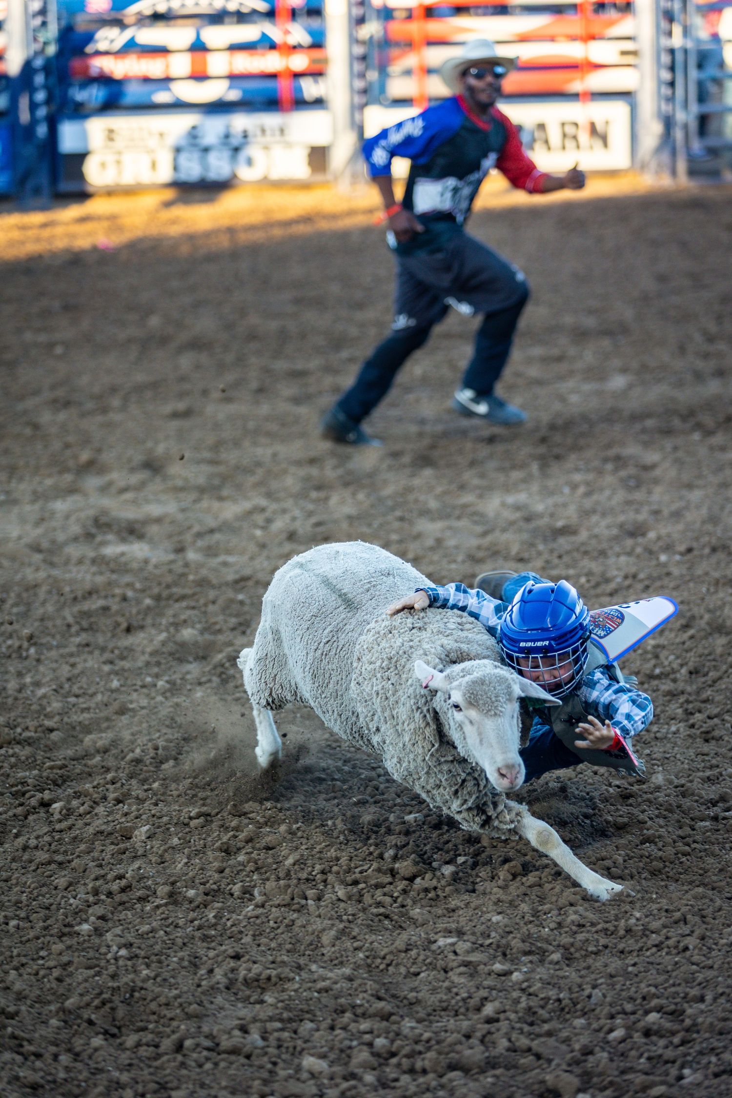 Young child clings to a sheep during a mutton bustin event at a rodeo competition.