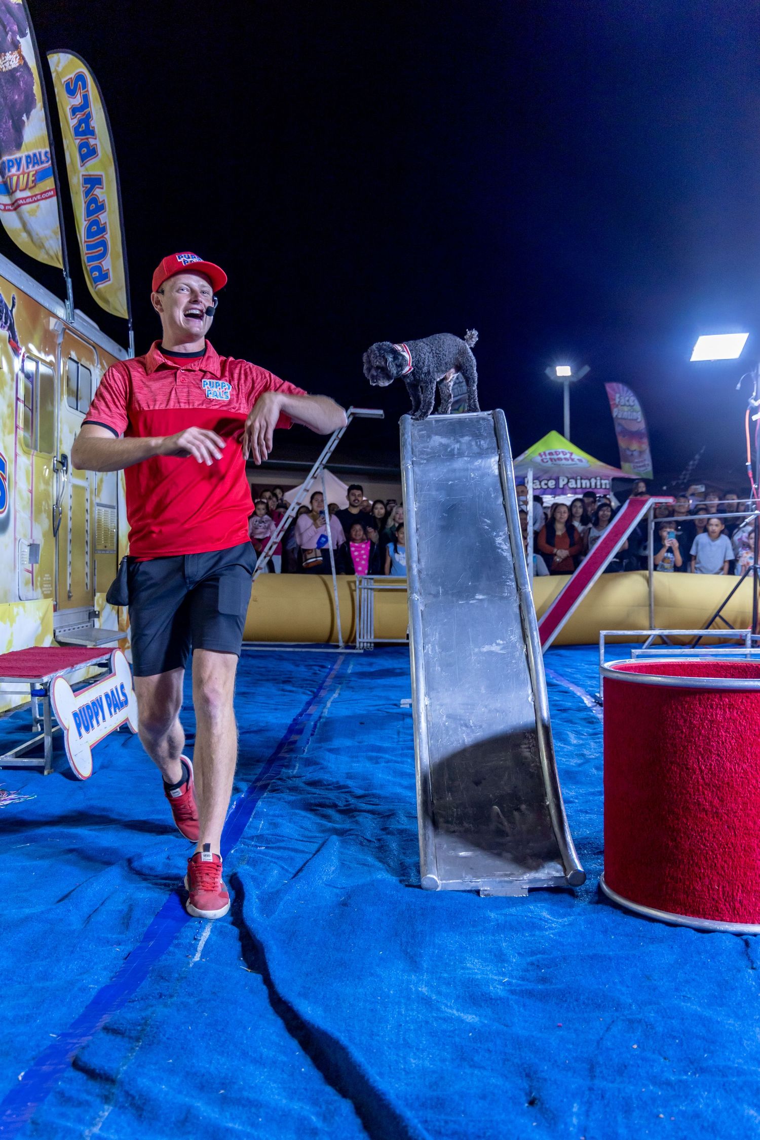 Smiling man in red cap watches a dog perform a trick on a ramp at a night show.