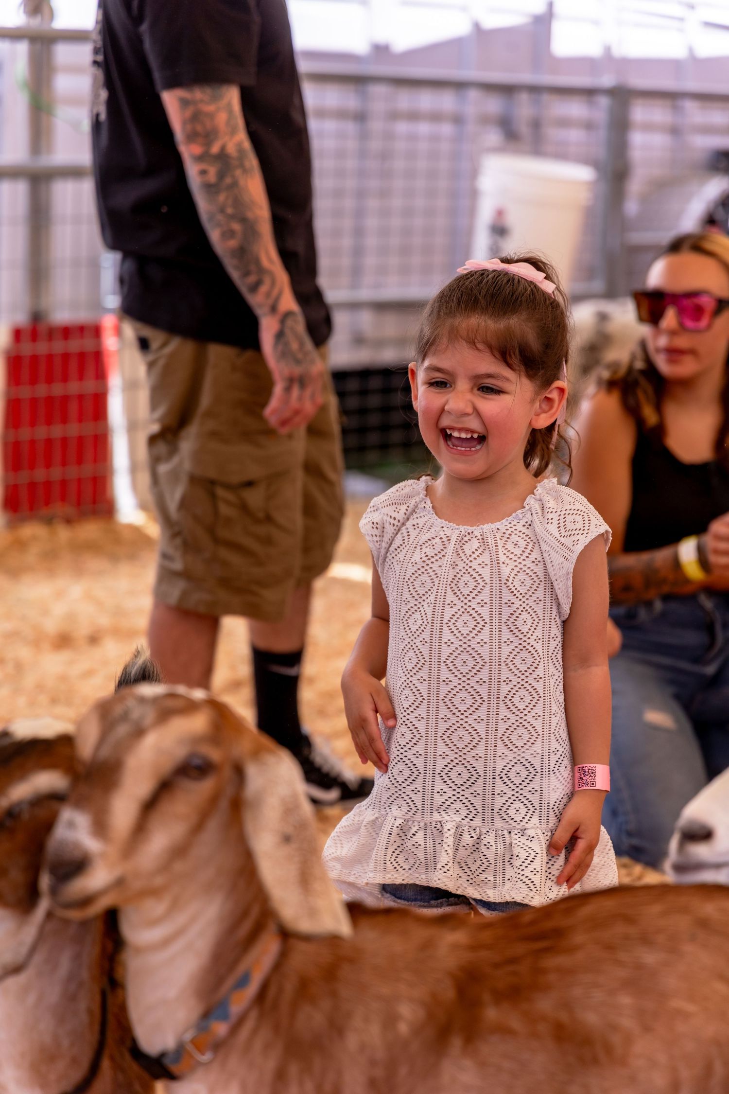 A laughing young girl in a white dress joyfully interacts with goats at a petting zoo enclosure.