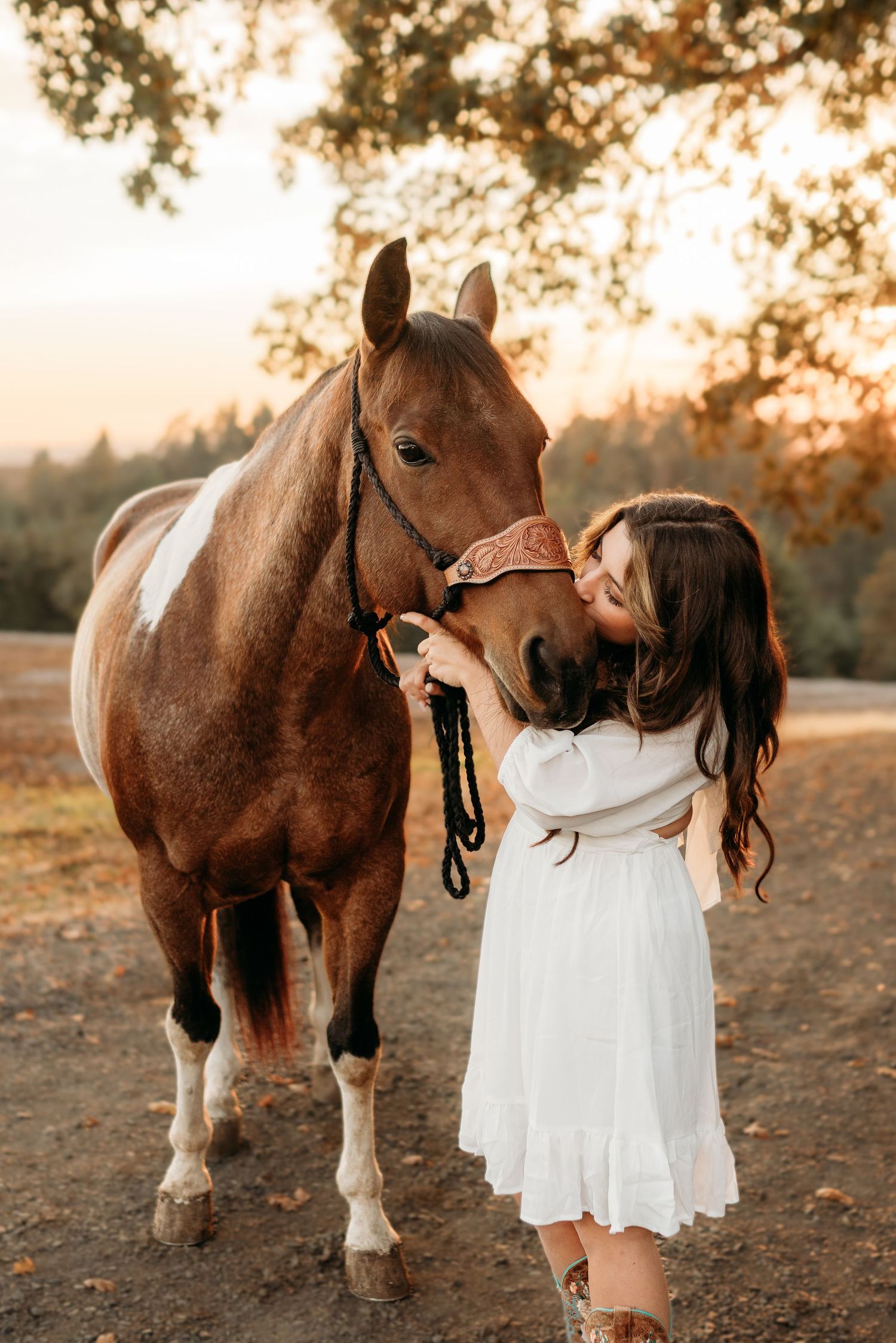 High school Senior kissing horse at golden hour