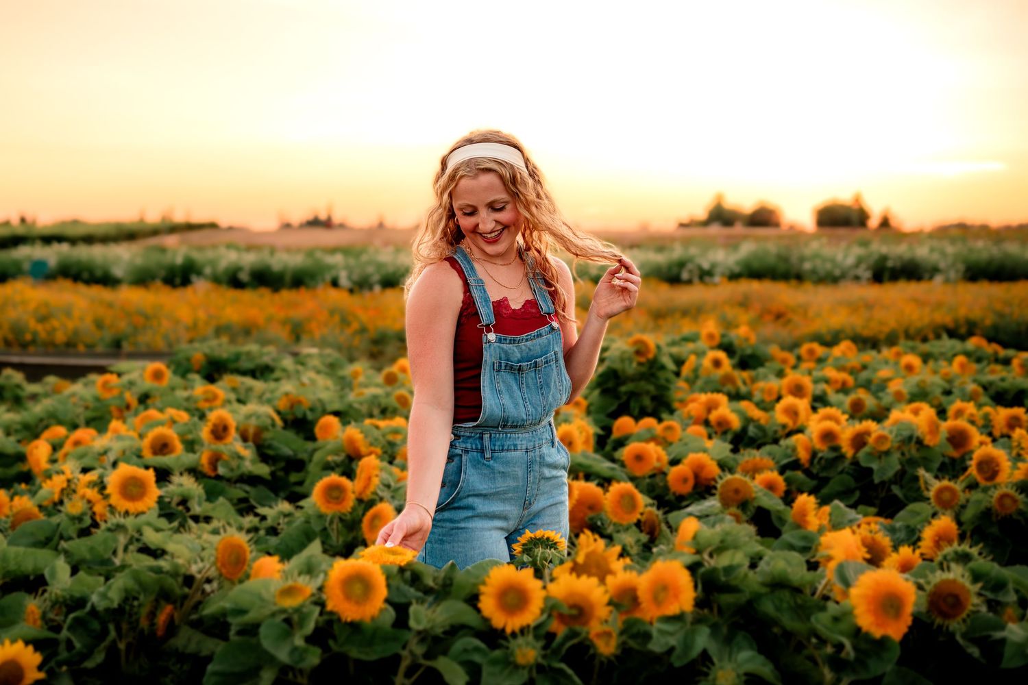 Senior girl standing in a sunflower field at golden hour at Wooden Shoe Tulip Farm in Woodburn, Oregon