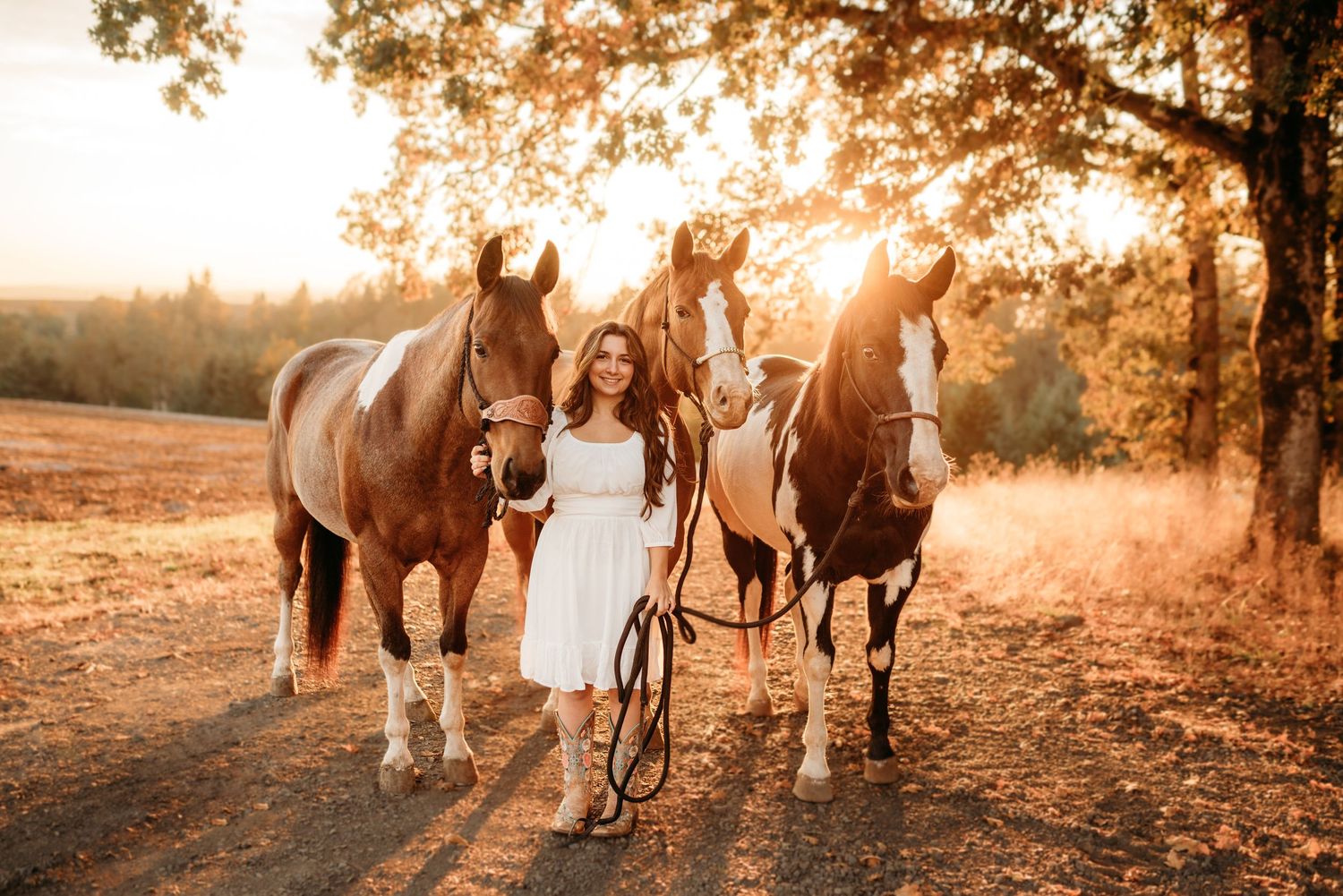 Senior girl standing with horses at sunset