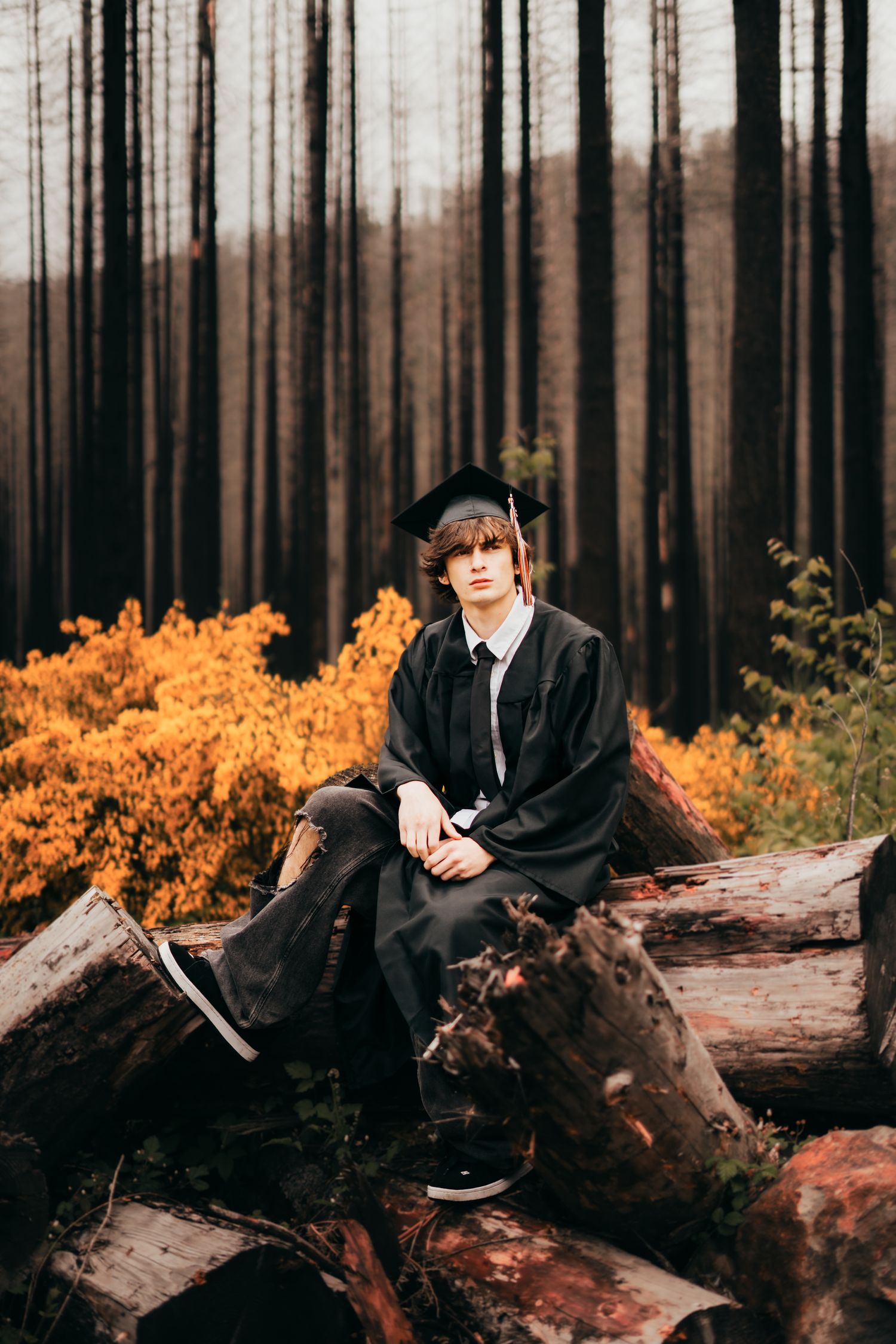 Senior boy sitting on a log in a burnt forest in Mollala Oregon.