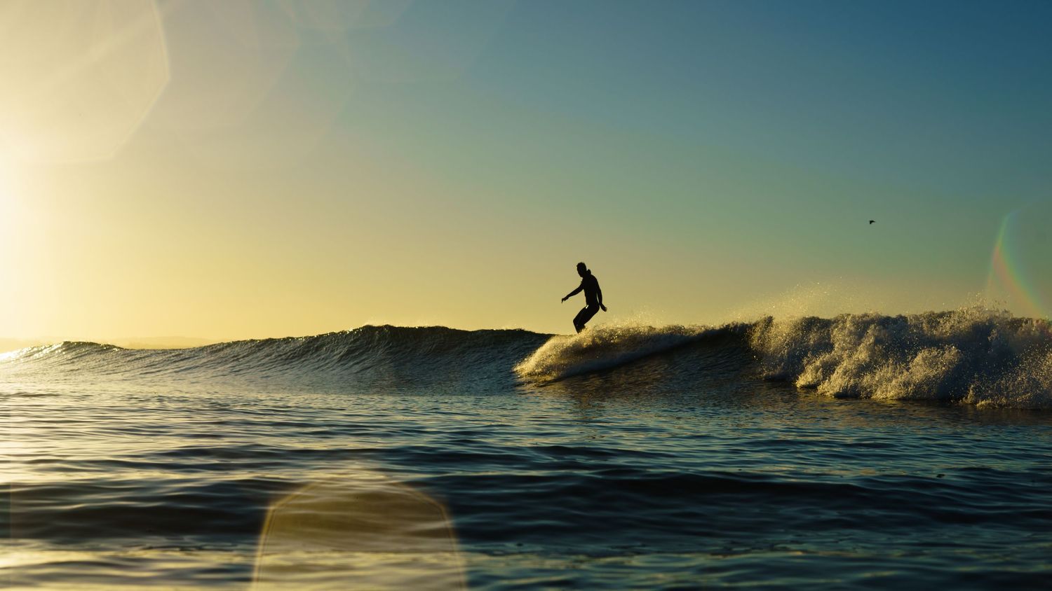 surfer in Santa Cruz