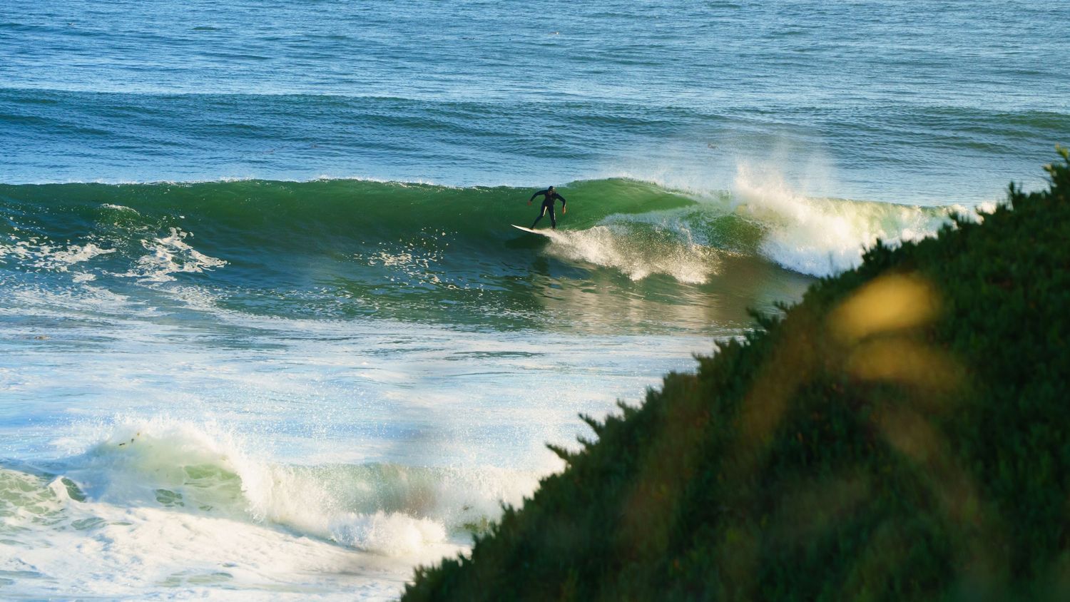 surfer in Santa Cruz