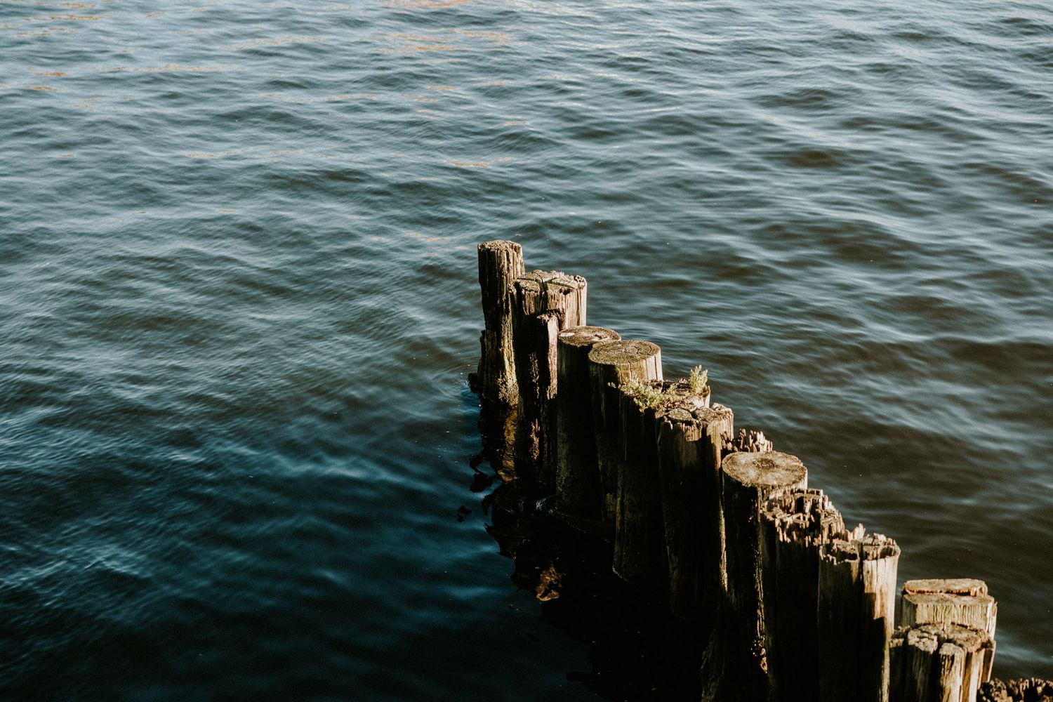 Wood pegs sticking out of the water in Thames Street Wharf in Baltimore Maryland, Shot by Dylan Spangler