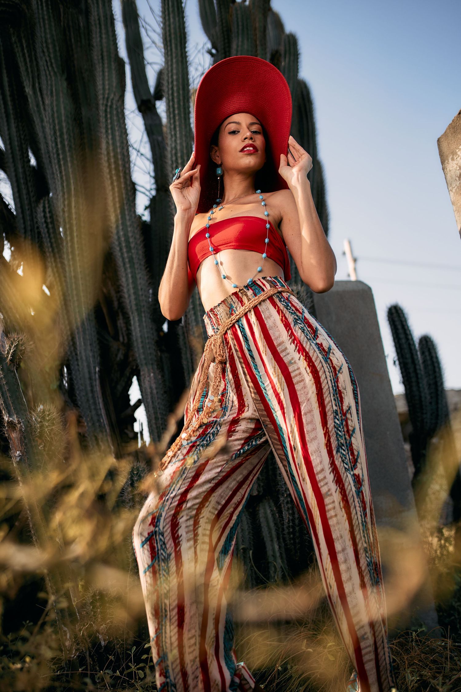 Fashion photo with red hat and striped pants against desert cacti background.