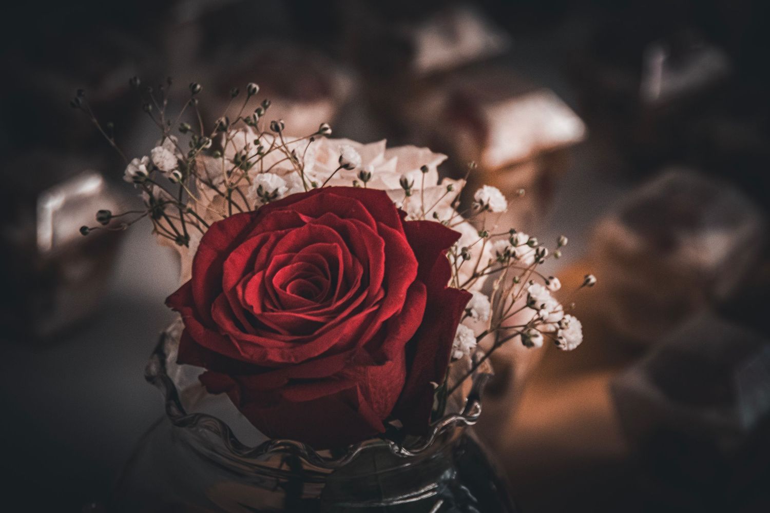 Artistic shot of a deep red rose with baby's breath flowers against dark background.