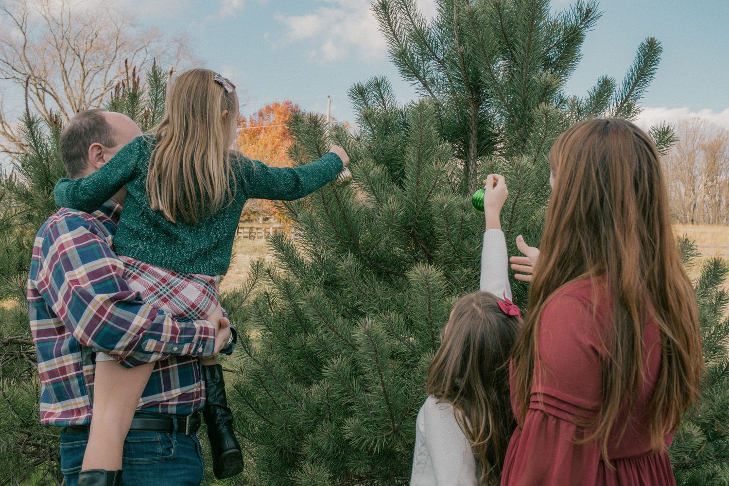 Series of outdoor photos showing a couple walking through a Christmas tree farm.