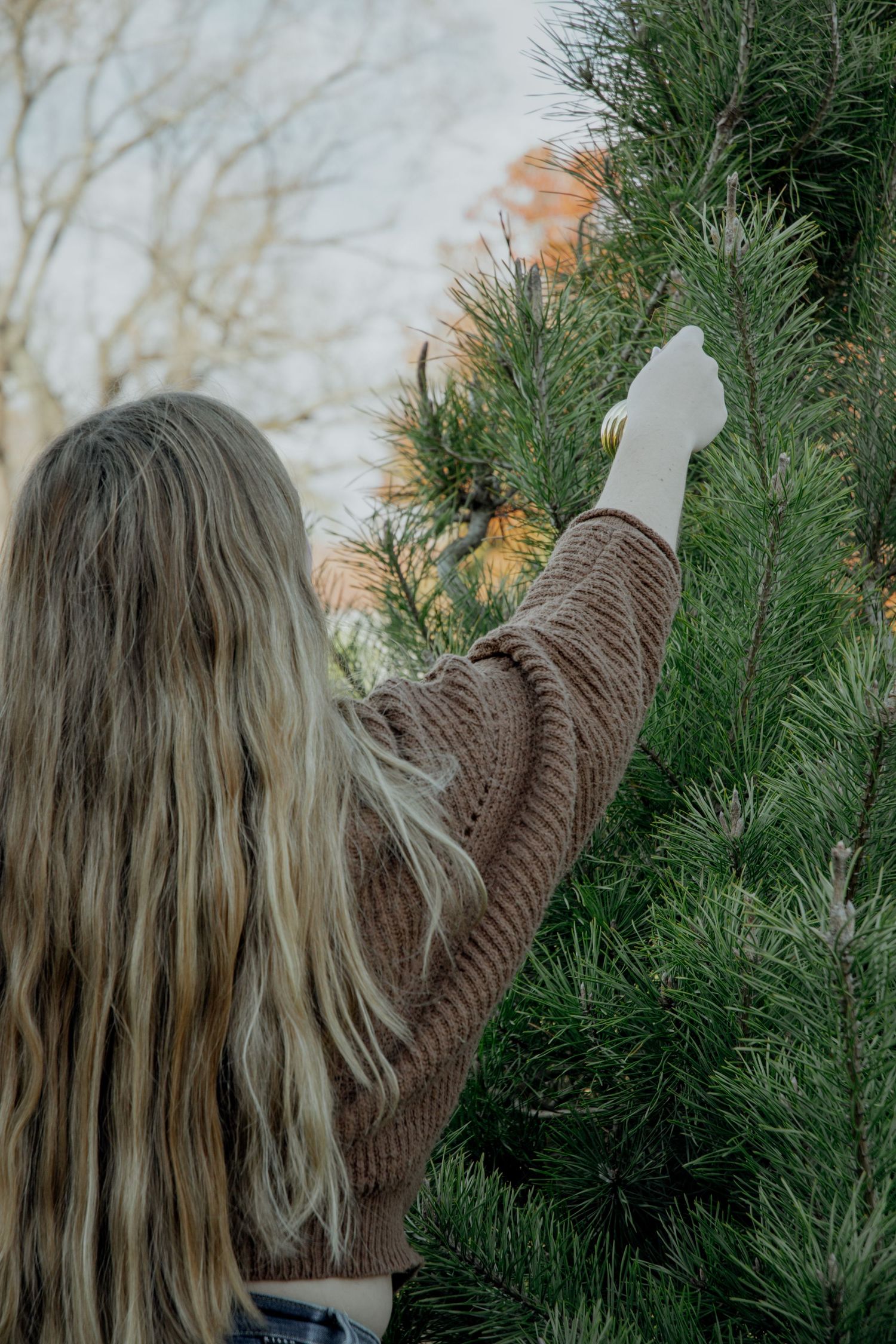 Person reaching up to decorate pine tree branches at Christmas tree farm.