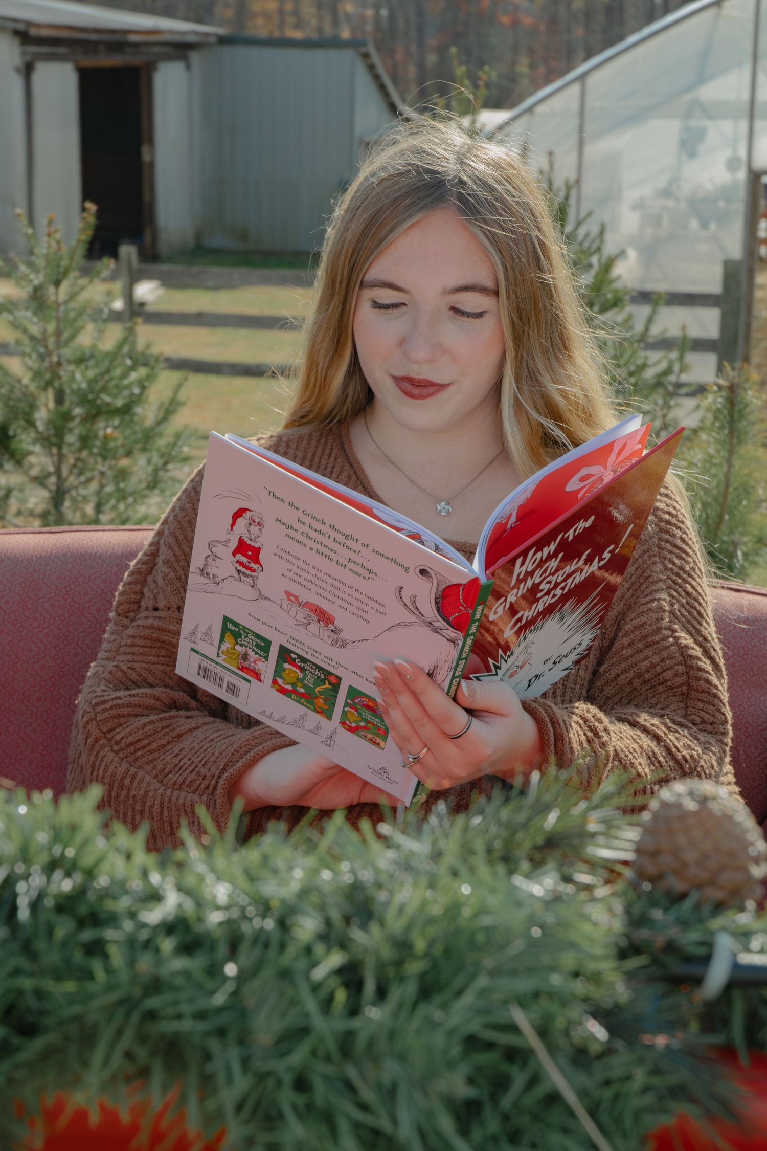 Person in brown sweater reading holiday books among evergreen branches.