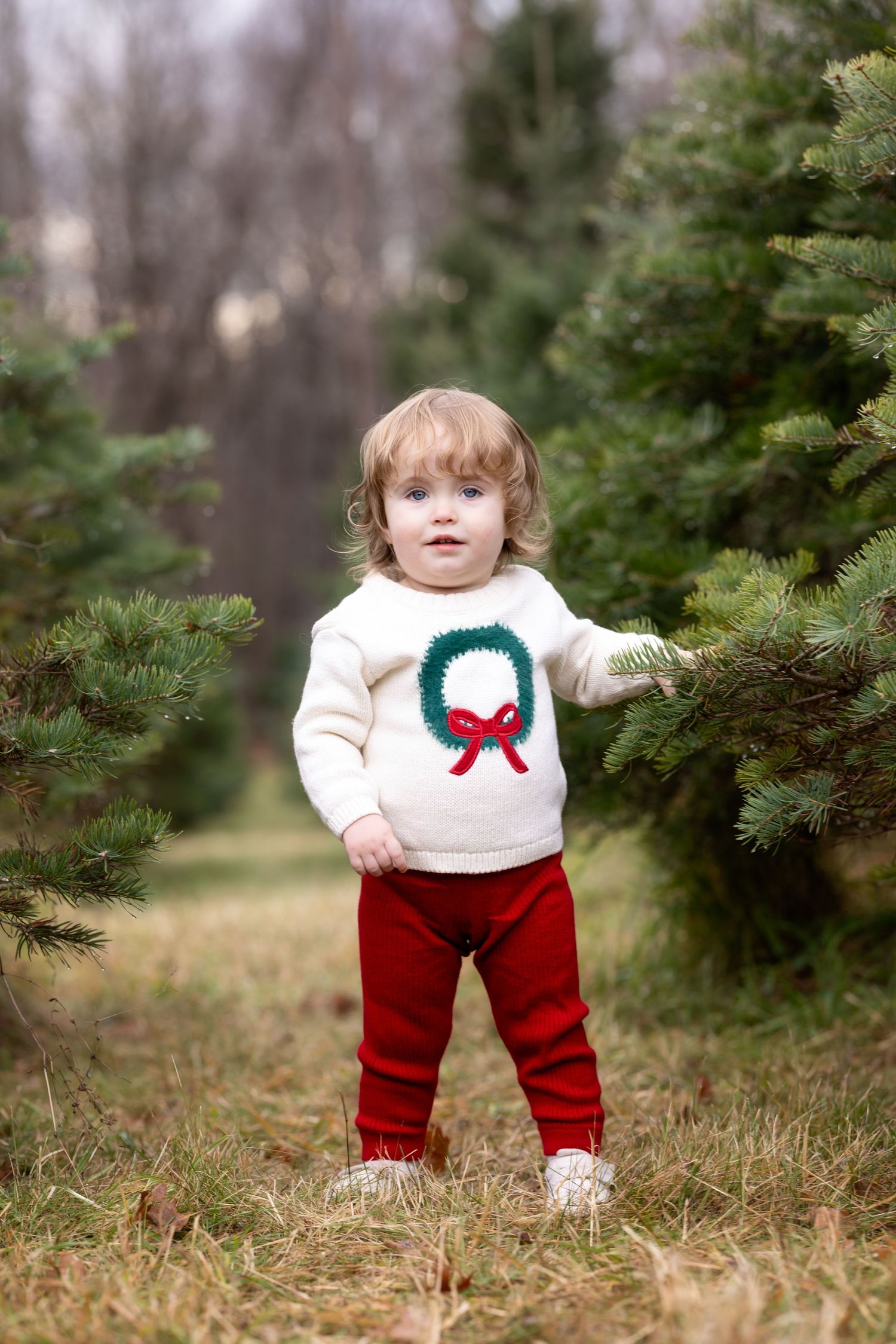 A child in a holiday sweater and red pants explores near evergreen trees in a natural outdoor setting.