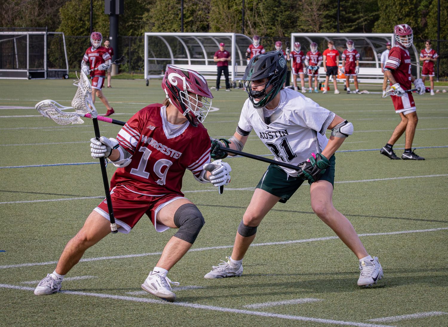Lacrosse players compete for possession of the ball during an intense match on a sunny field.