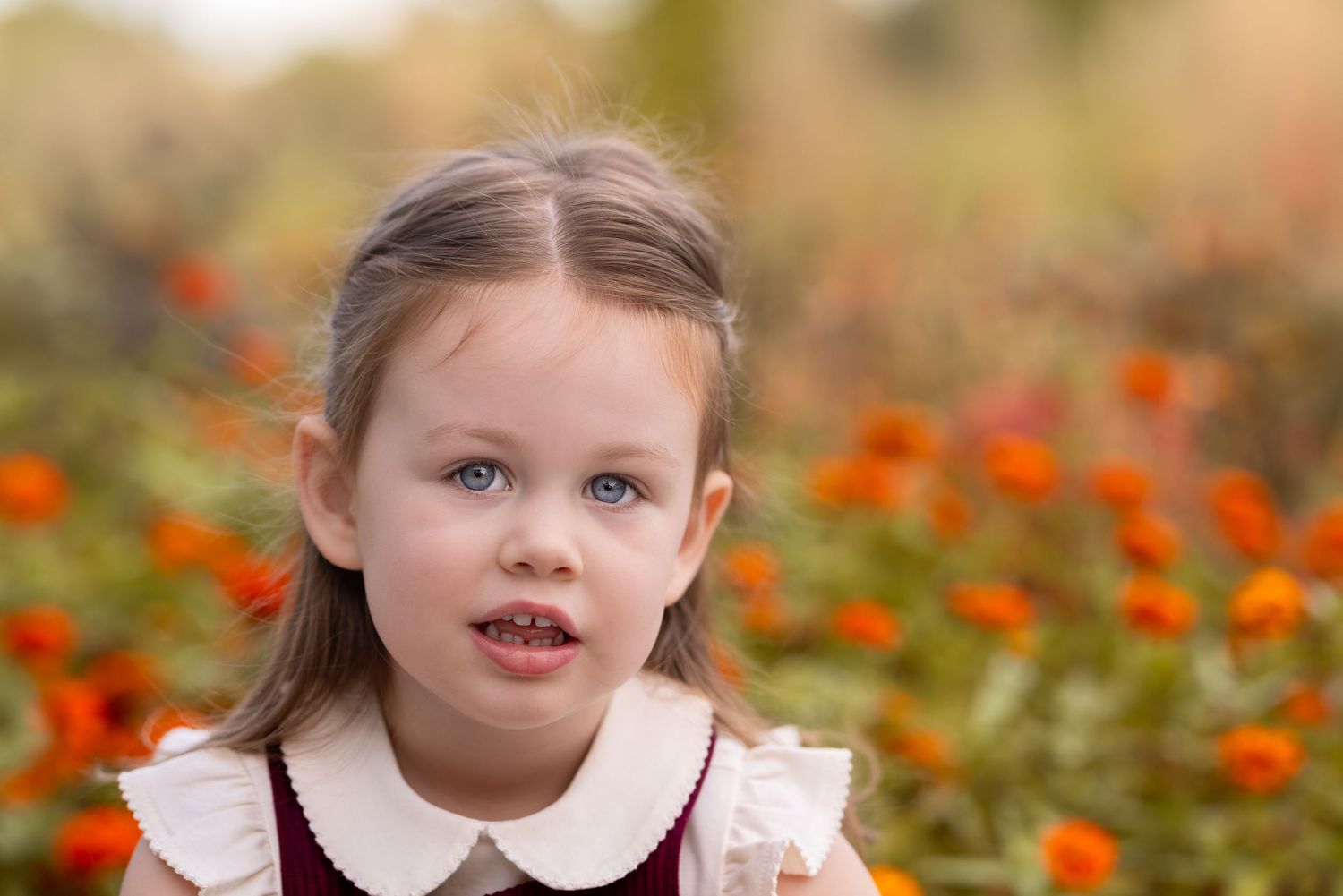 Child playing in a vibrant orange marigold flower garden during autumn season.