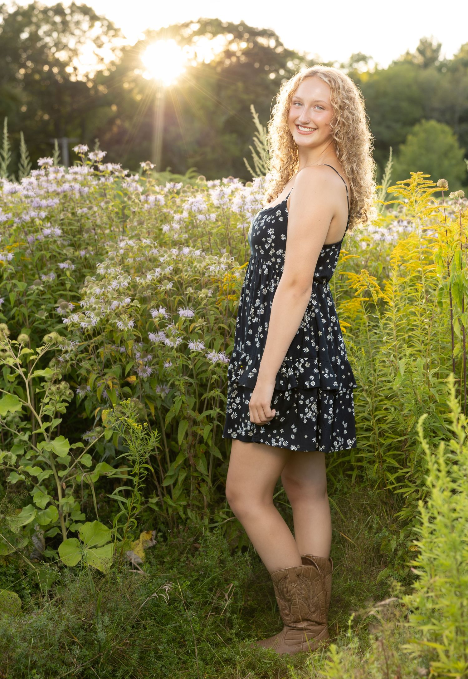 Wildflower garden at sunset with white daisies and yellow flowers in natural lighting.