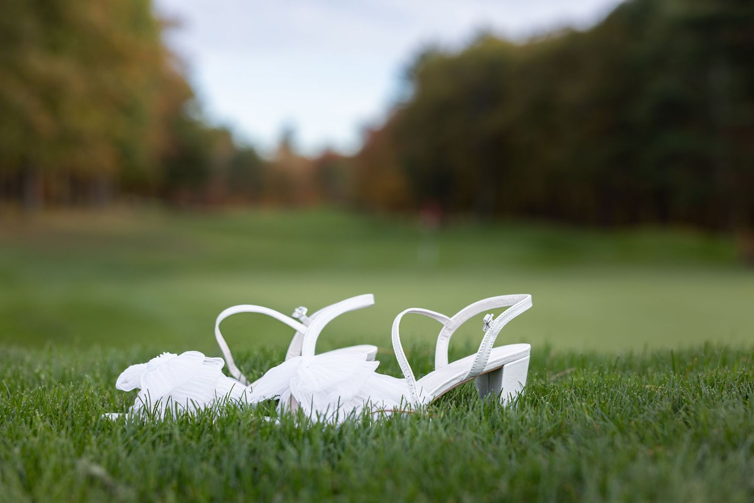 White paper cranes arranged on green grass with a blurred nature background create an artistic composition.