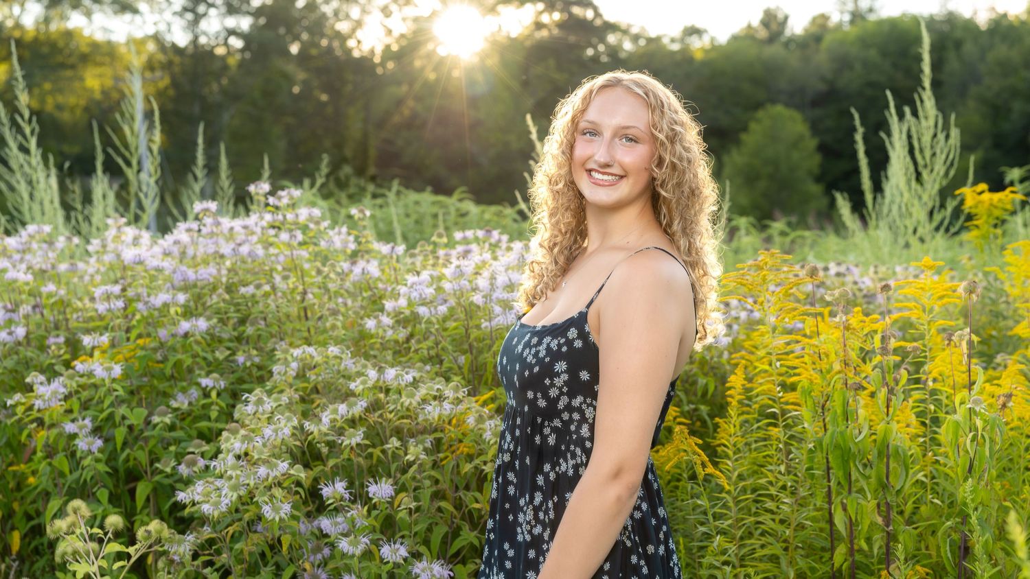 A summer wildflower meadow at sunset with blooming daisies and goldenrod.
