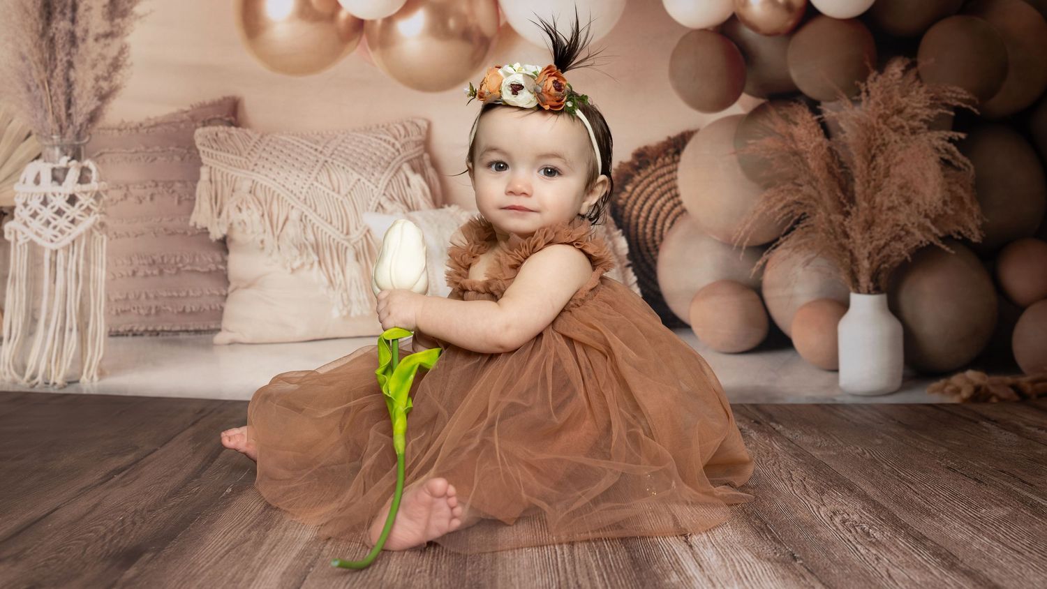 A collection of baby photography portraits in sepia tones showing infants in rustic settings with vintage props and decor.