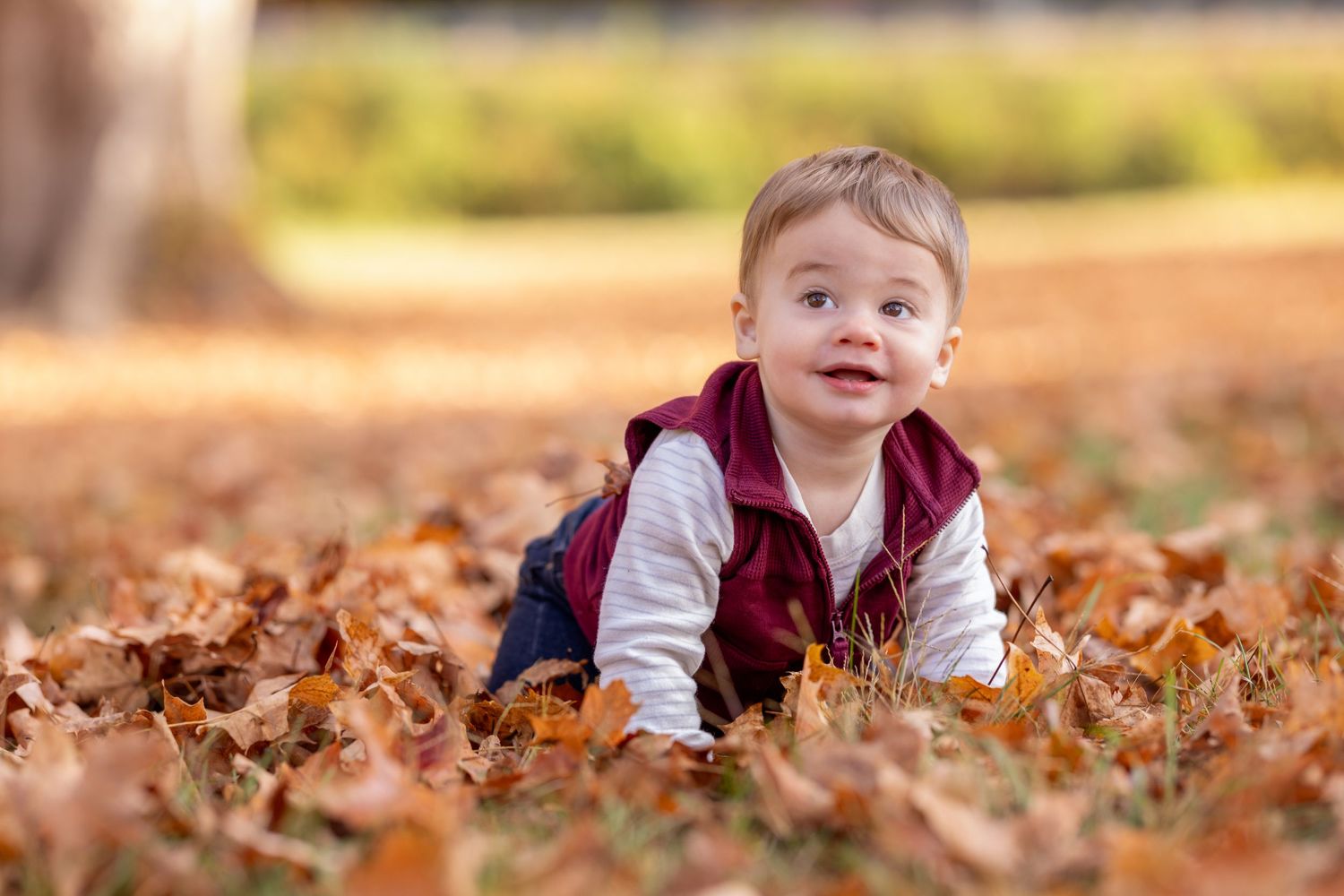 A child lies in a pile of fallen autumn leaves on a sunny day, creating a playful outdoor scene.