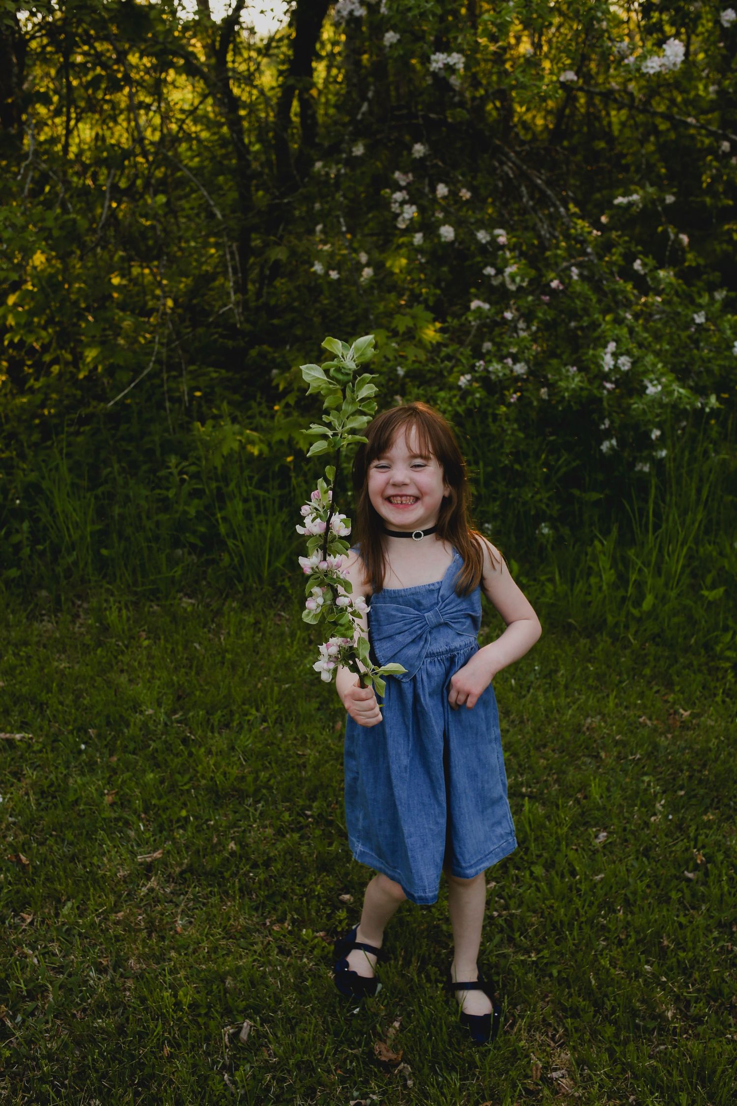 Family Photos, Antigonish Family Photos, Relaxed family photos magical family portraits