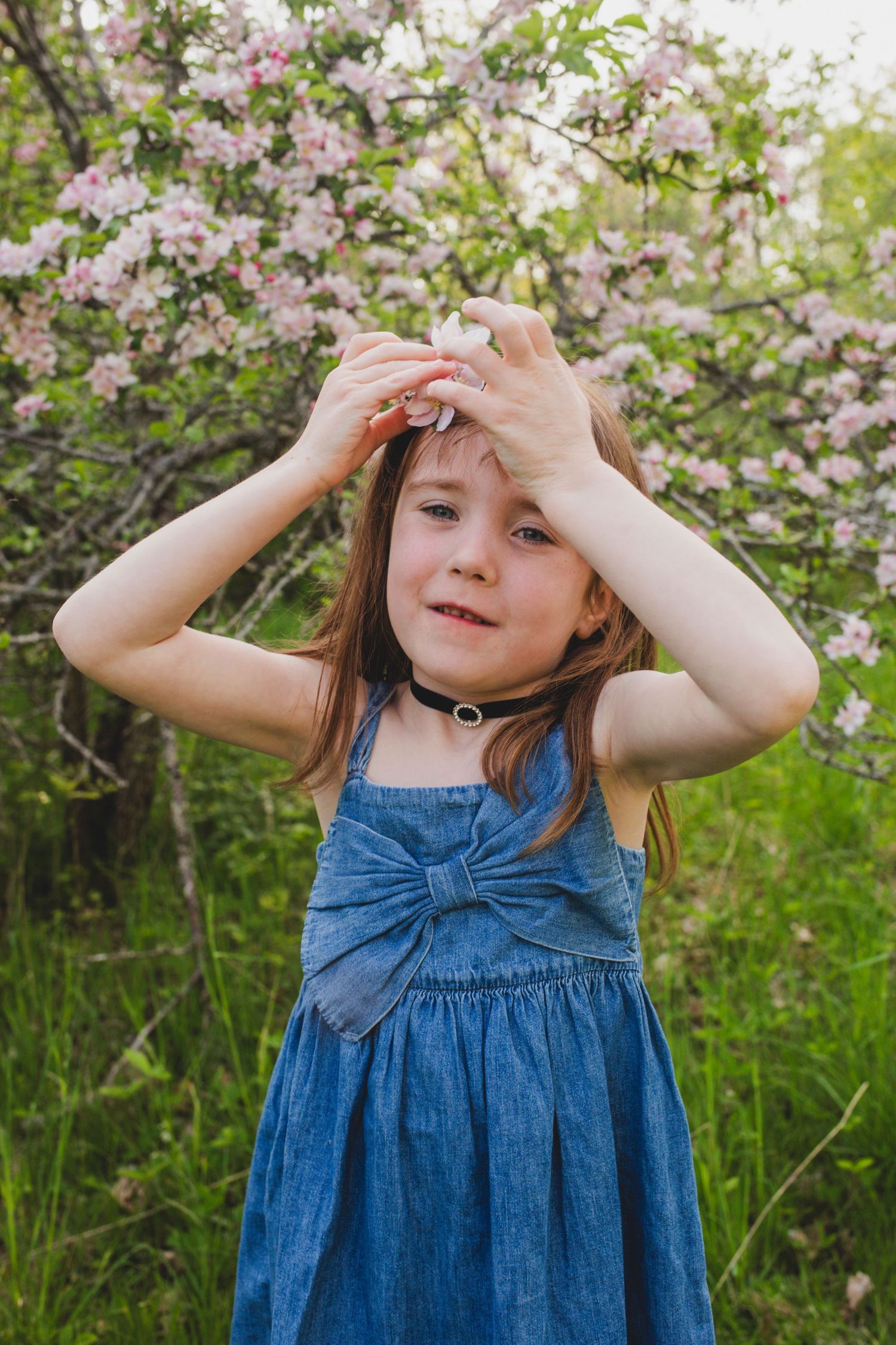 Family Photos, Antigonish Family Photos, Relaxed family photos magical family portraits