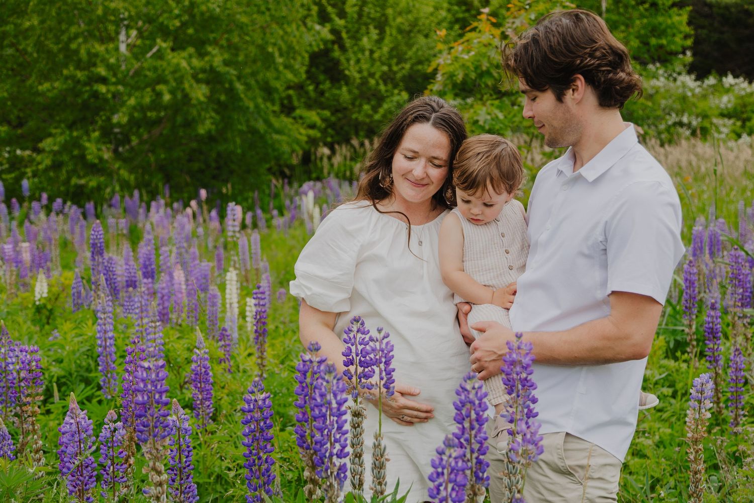 Pregnant woman with toddler and partner posing among purple lupine flowers in a lush garden maternity photo.