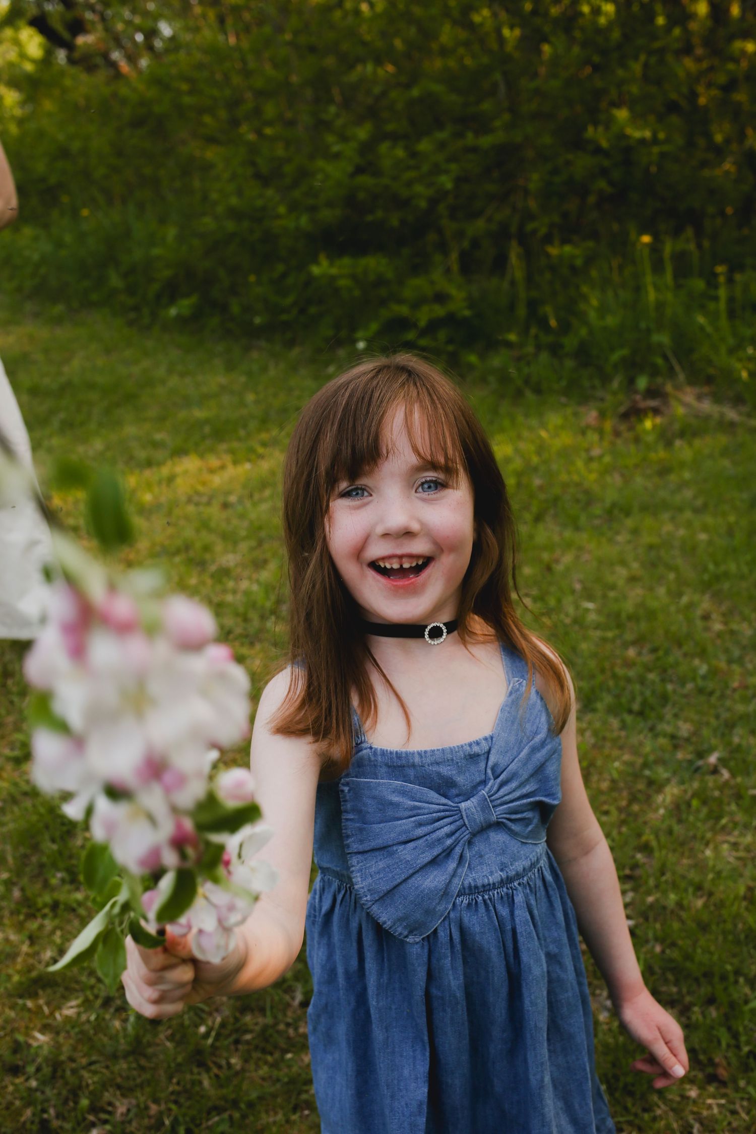 Family Photos, Antigonish Family Photos, Relaxed family photos magical family portraits