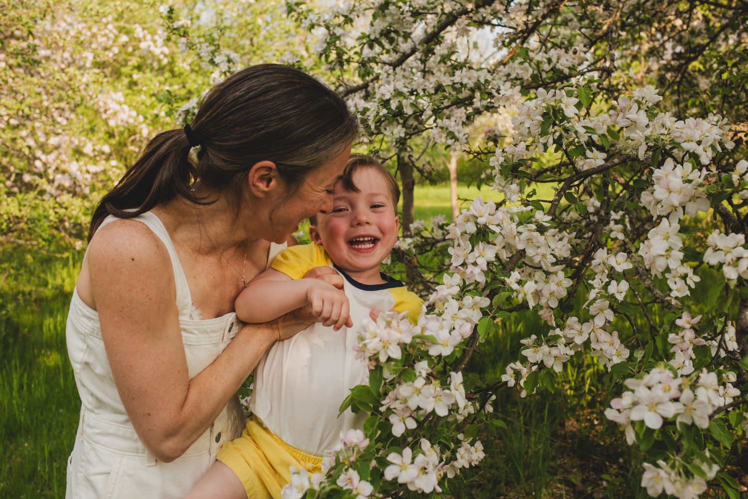 Family Photos, Antigonish Family Photos, Relaxed family photos magical family portraits