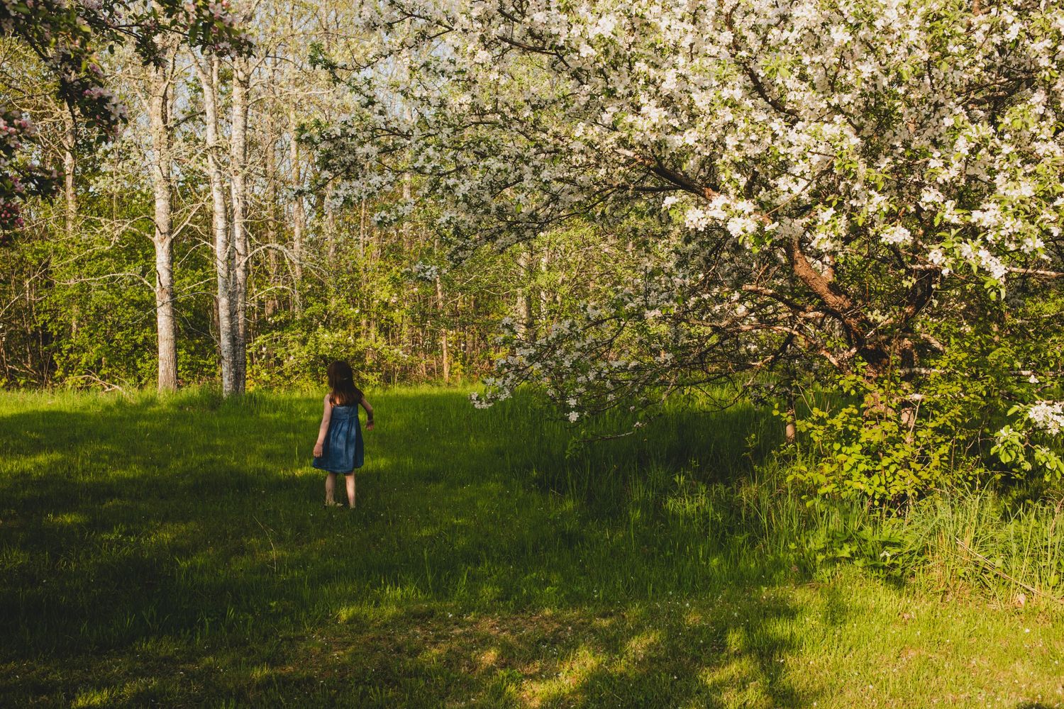 Family Photos, Antigonish Family Photos, Relaxed family photos magical family portraits