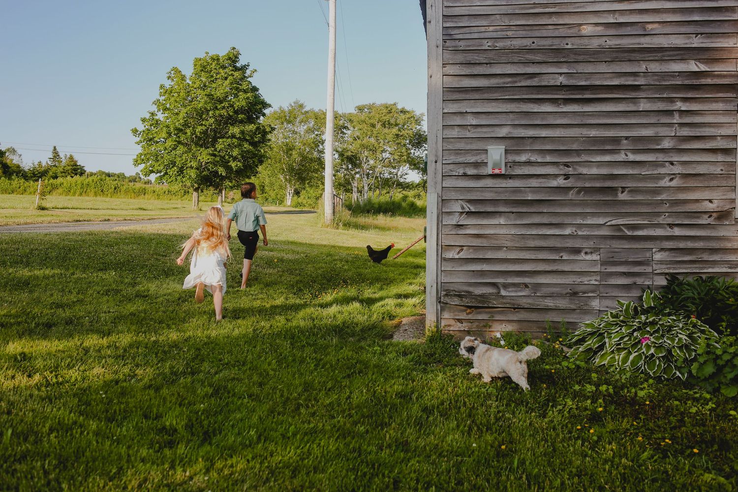 Family Photos, Antigonish Family Photos, Relaxed family photos magical family portraits