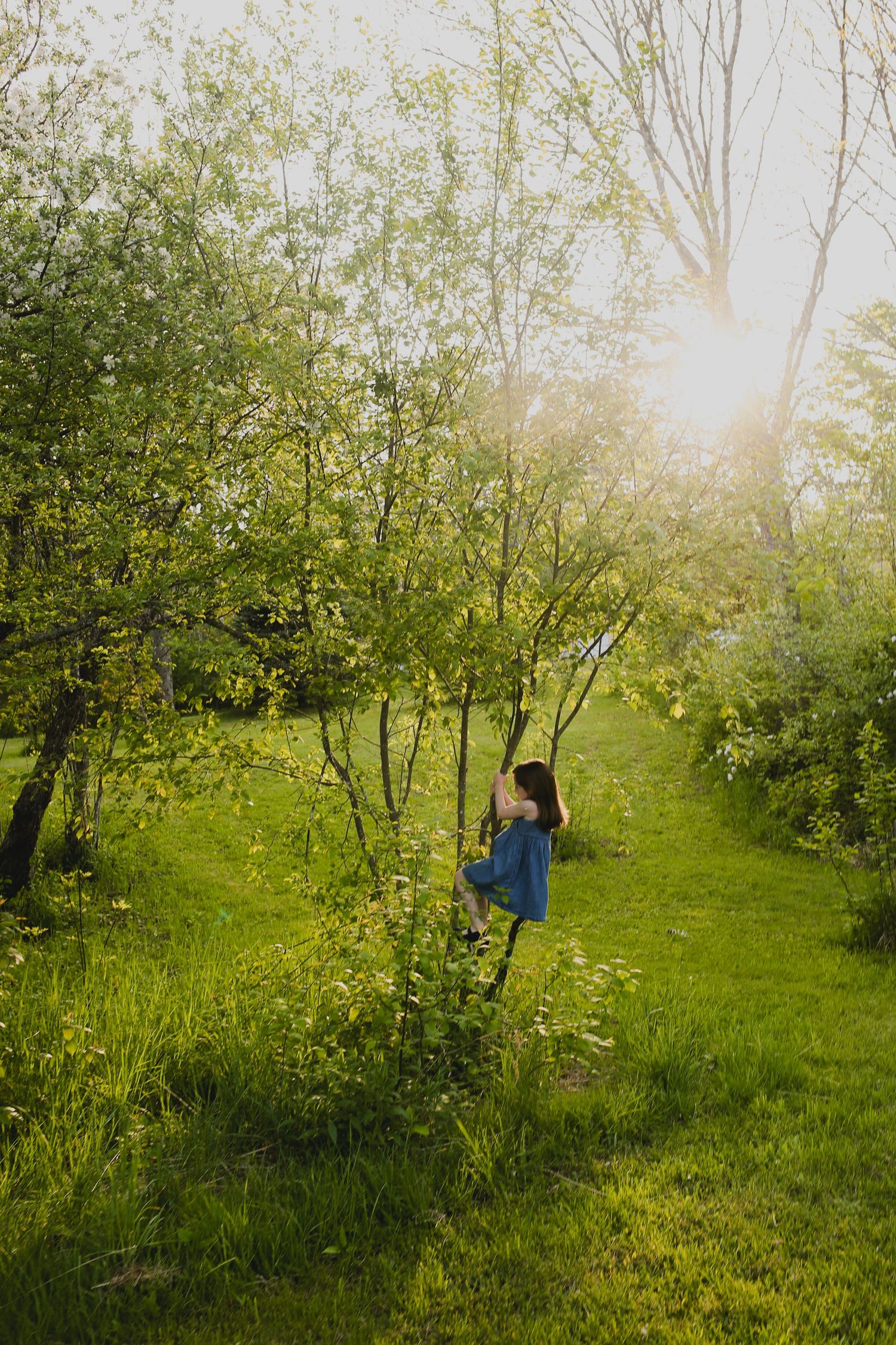 Family Photos, Antigonish Family Photos, Relaxed family photos magical family portraits