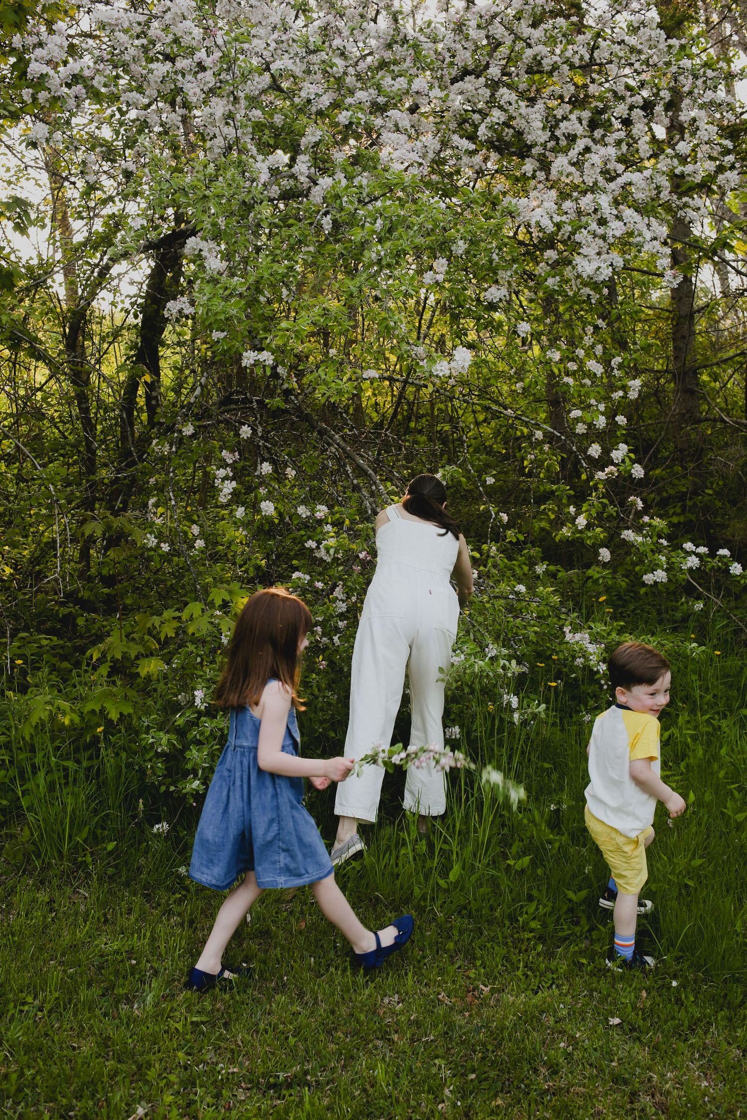 Family Photos, Antigonish Family Photos, Relaxed family photos magical family portraits