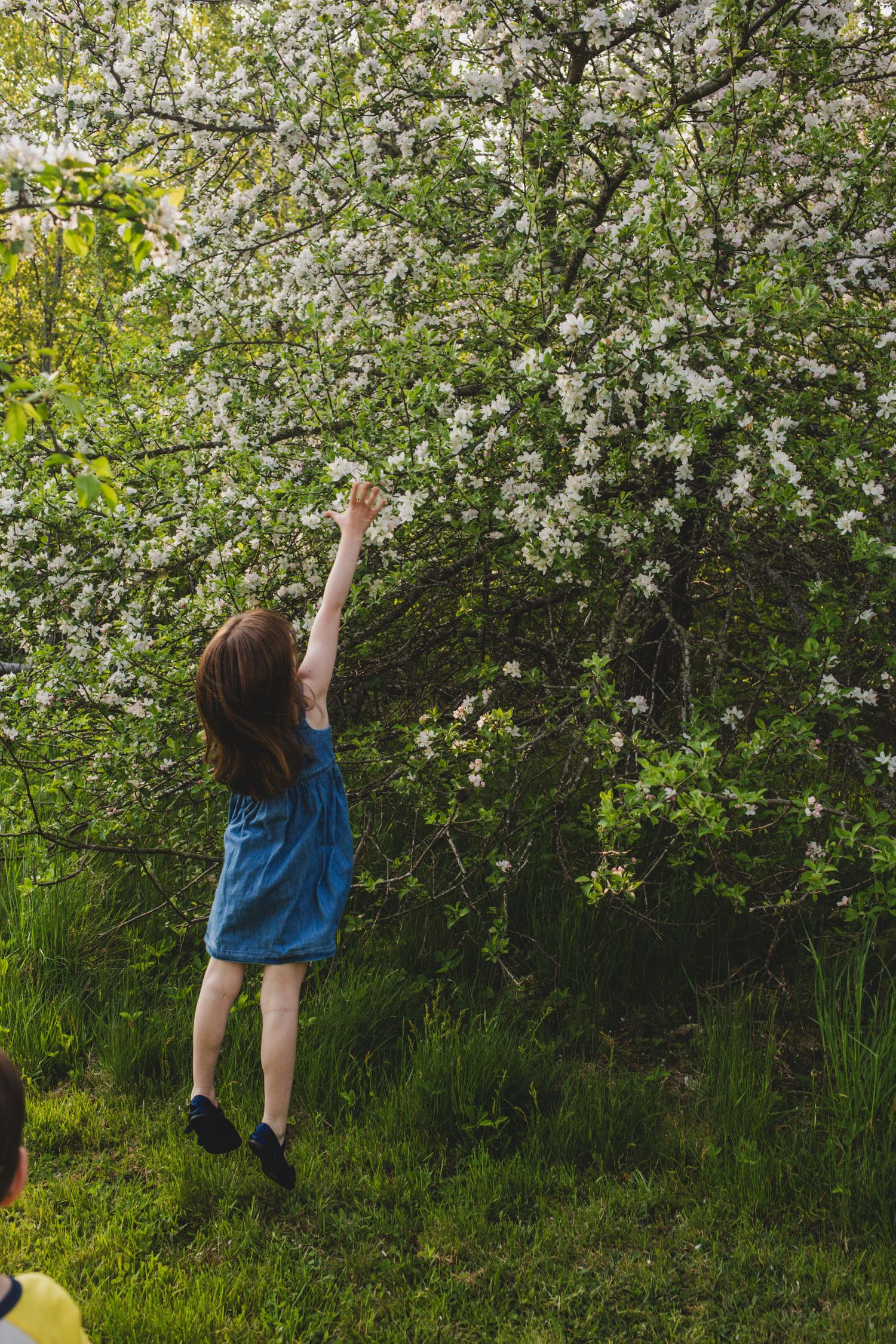 Family Photos, Antigonish Family Photos, Relaxed family photos magical family portraits
