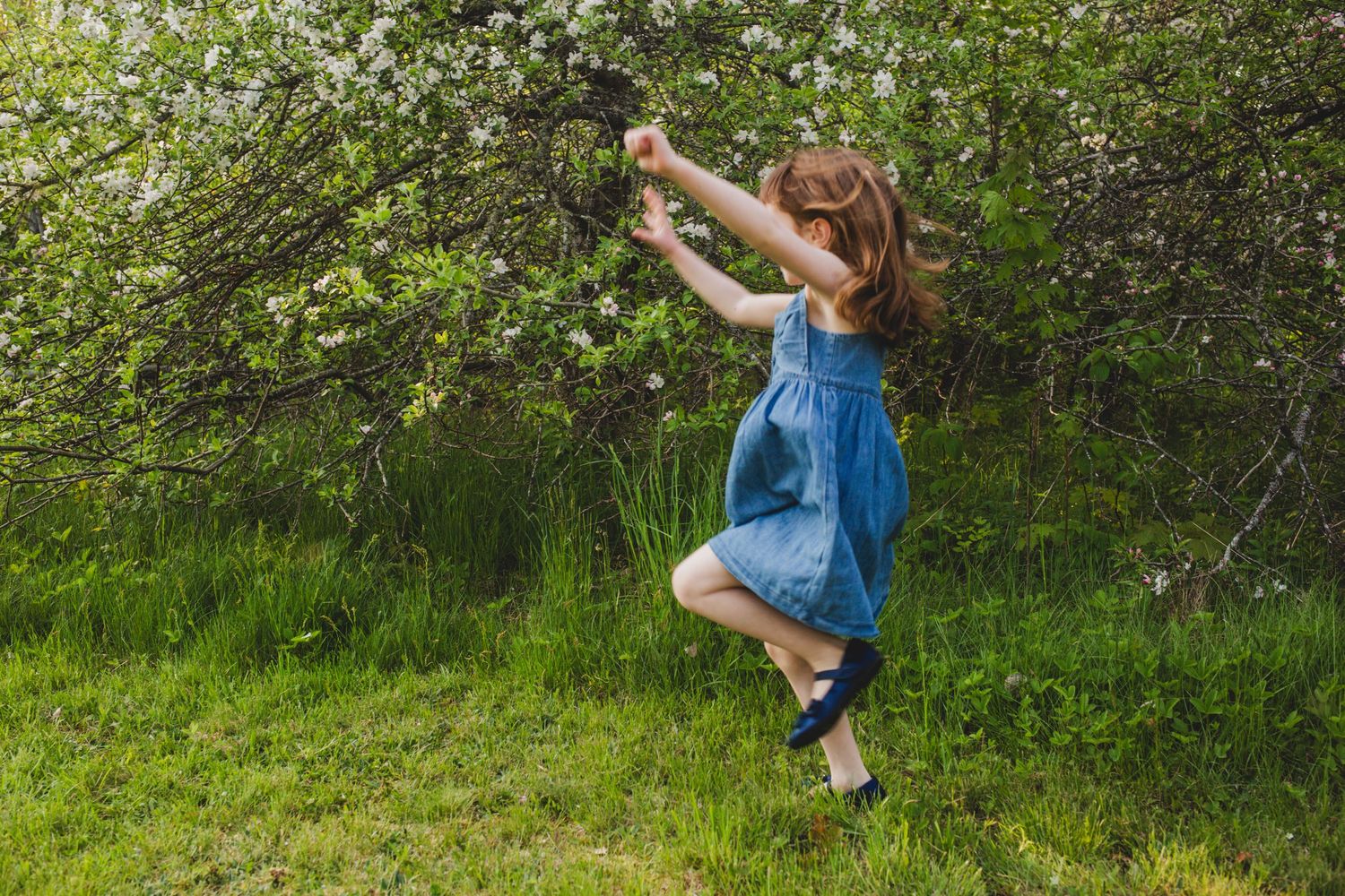 Family Photos, Antigonish Family Photos, Relaxed family photos magical family portraits