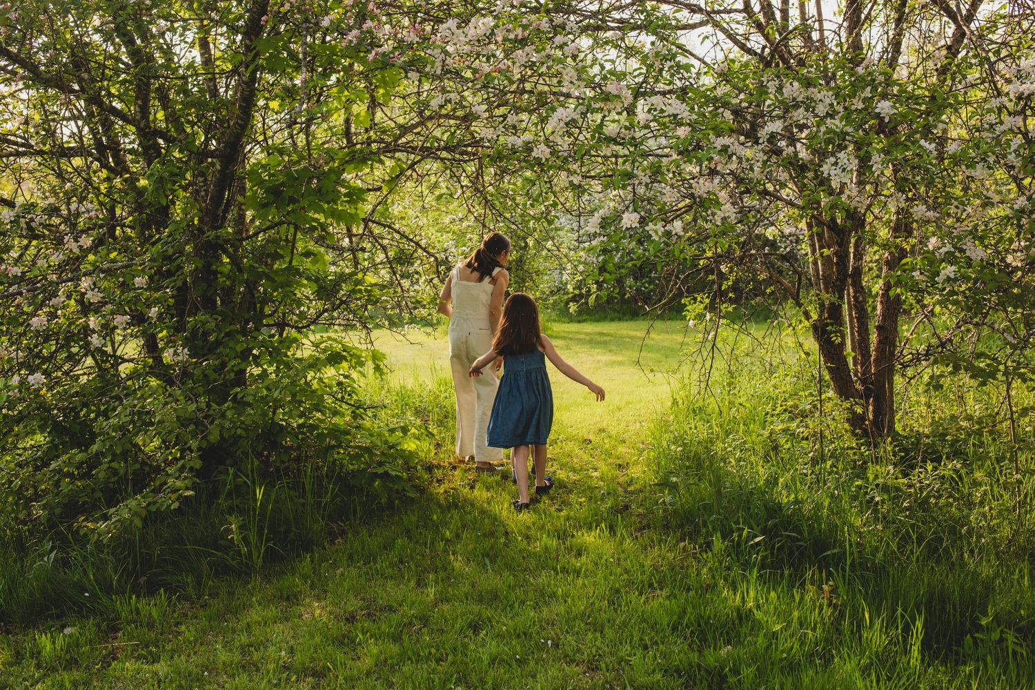 Family Photos, Antigonish Family Photos, Relaxed family photos magical family portraits
