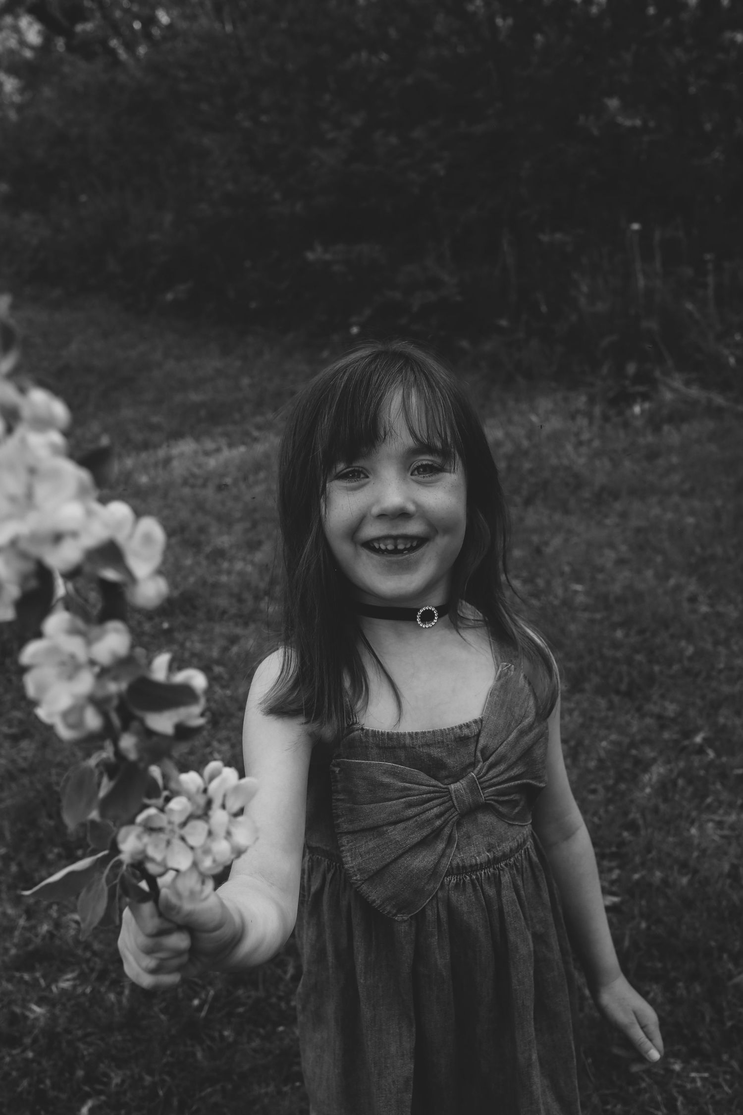 Family Photos, Antigonish Family Photos, Relaxed family photos magical family portraits