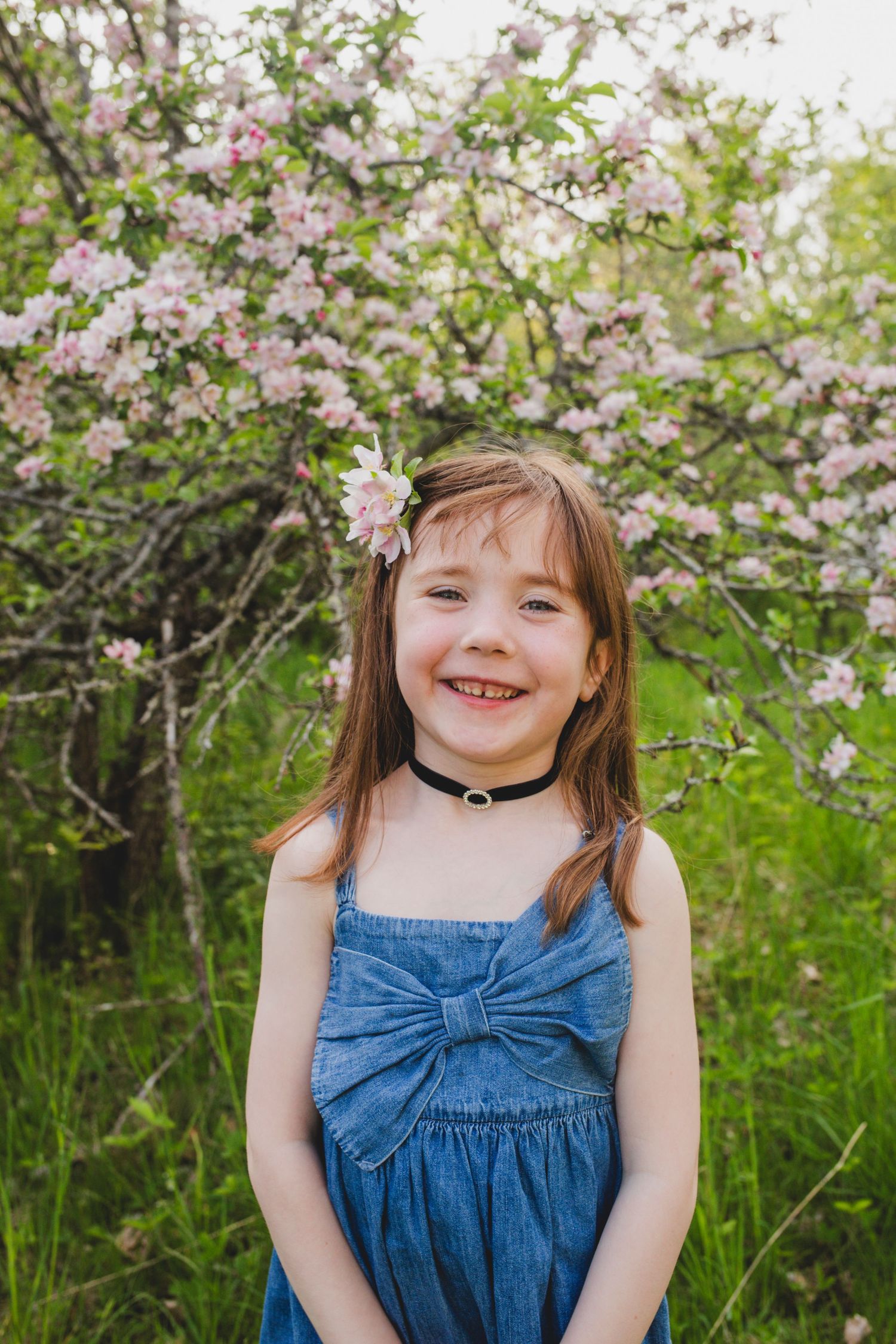 Family Photos, Antigonish Family Photos, Relaxed family photos magical family portraits
