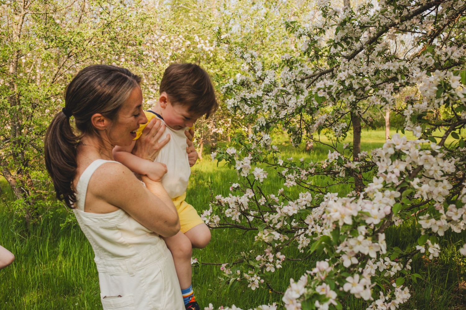 Family Photos, Antigonish Family Photos, Relaxed family photos magical family portraits