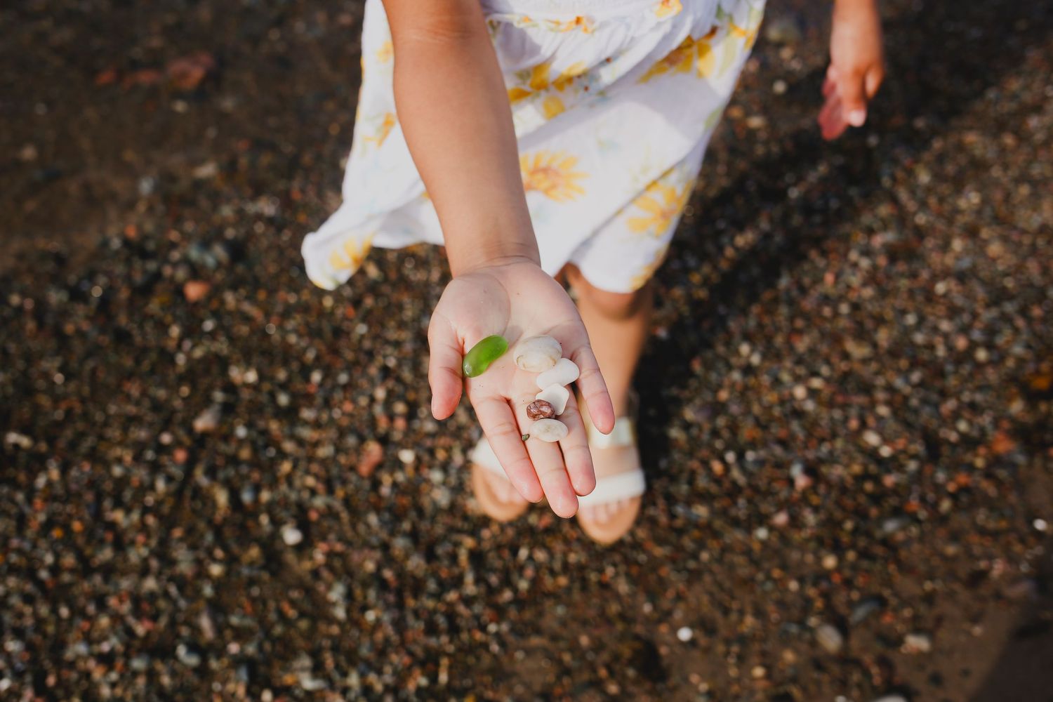 Family Photos, Antigonish Family Photos, Relaxed family photos magical family portraits
