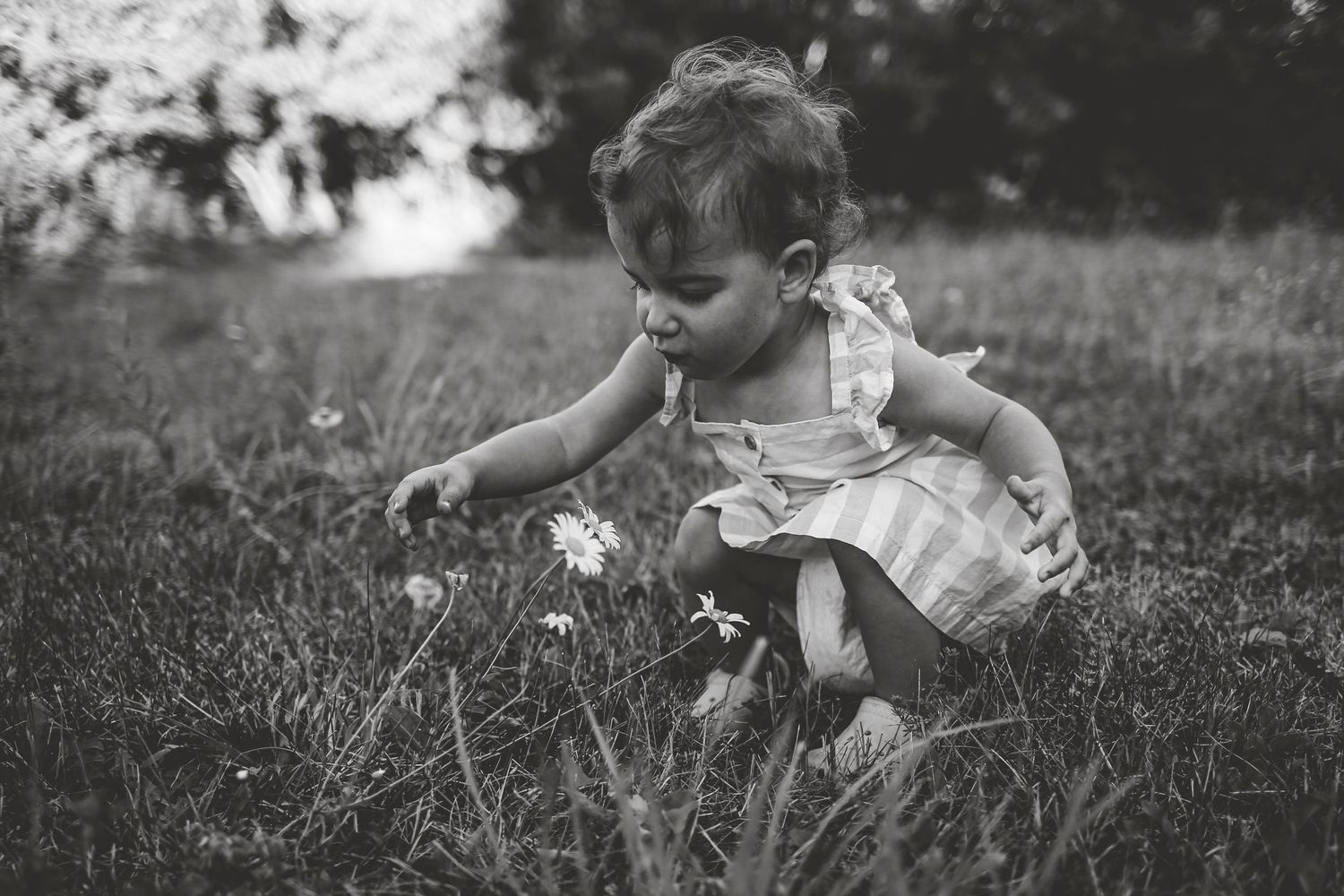 Family Photos, Antigonish Family Photos, Relaxed family photos magical family portraits