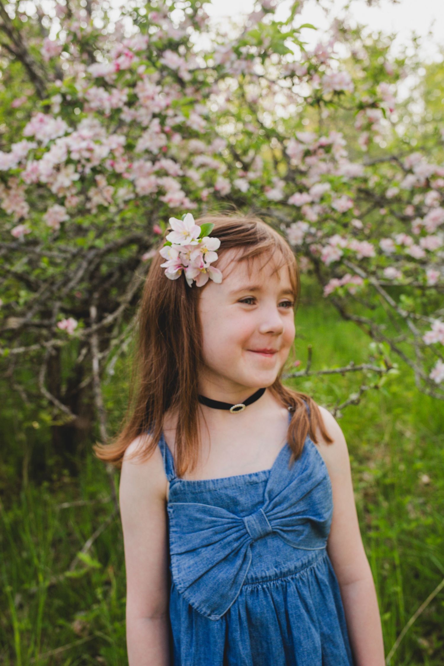 Family Photos, Antigonish Family Photos, Relaxed family photos magical family portraits
