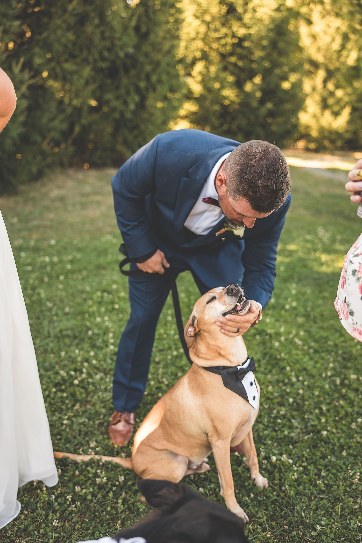 Wedding couple plays with their happy golden retriever dog on grassy lawn.