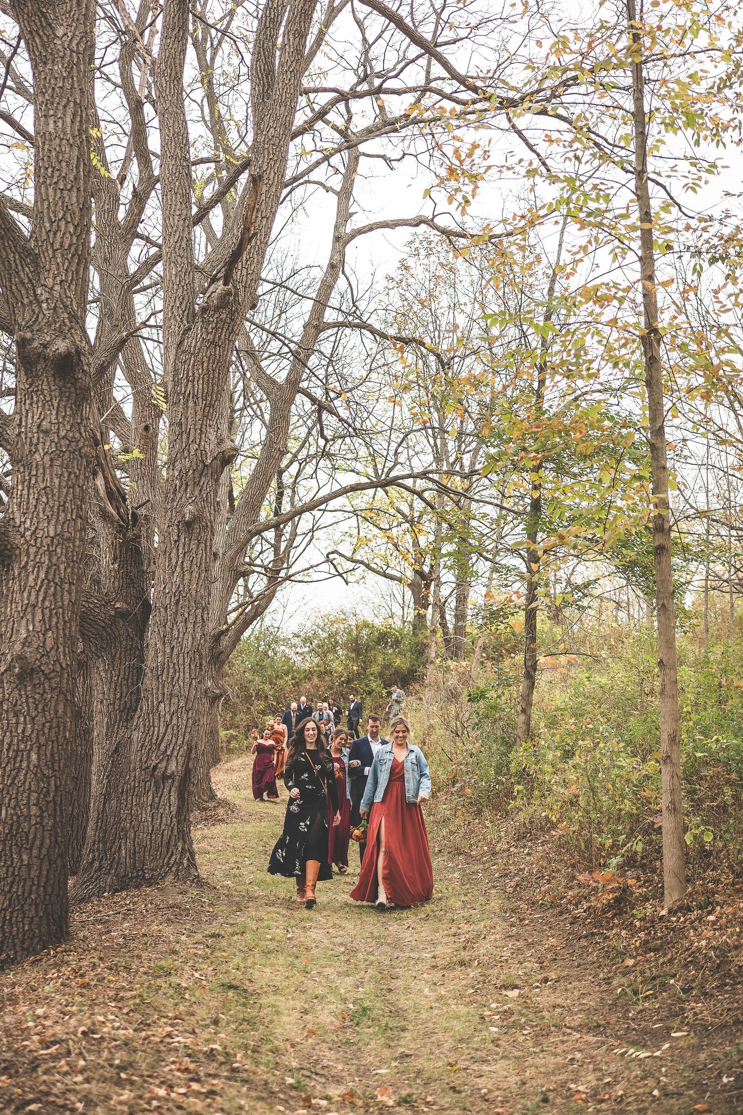 Wedding party gathered along tree-lined path with fallen autumn leaves.