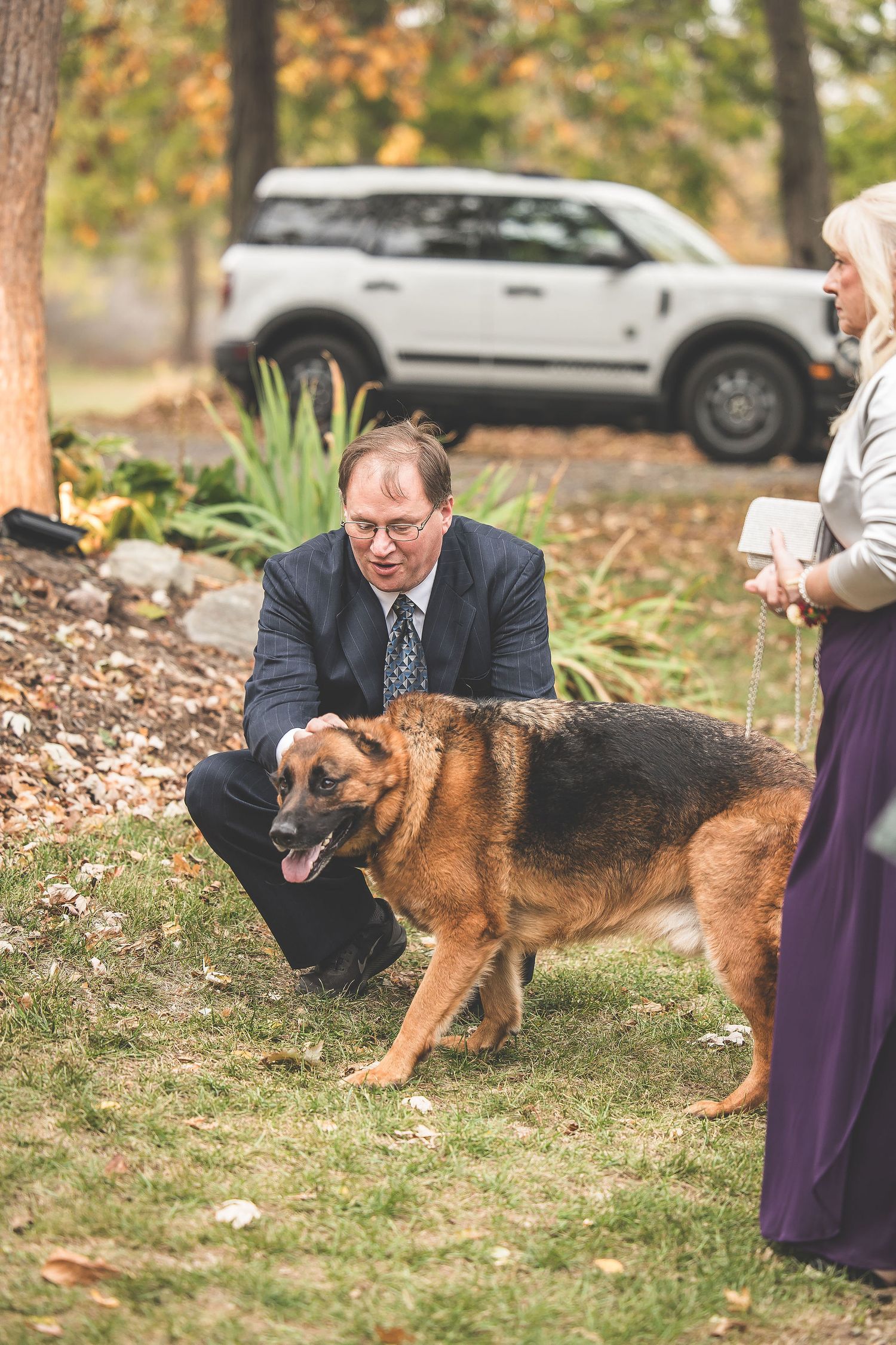 German Shepherd dog plays with wedding guests on grass during outdoor celebration.